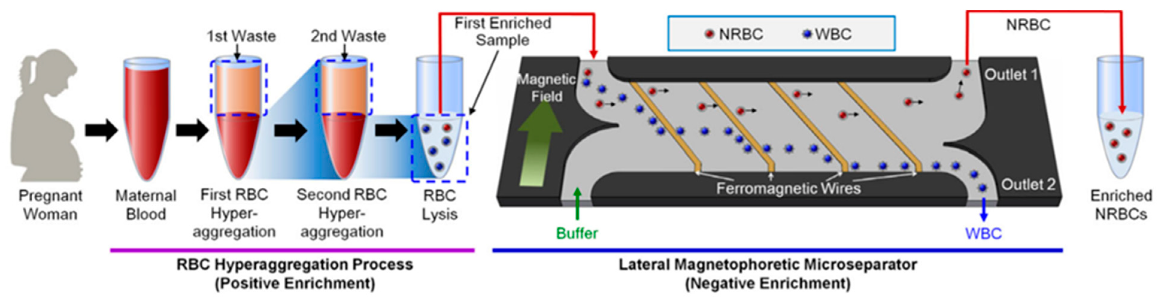 Magnetochemistry 08 00010 g003 Magnetochemistry 08 00010 g003