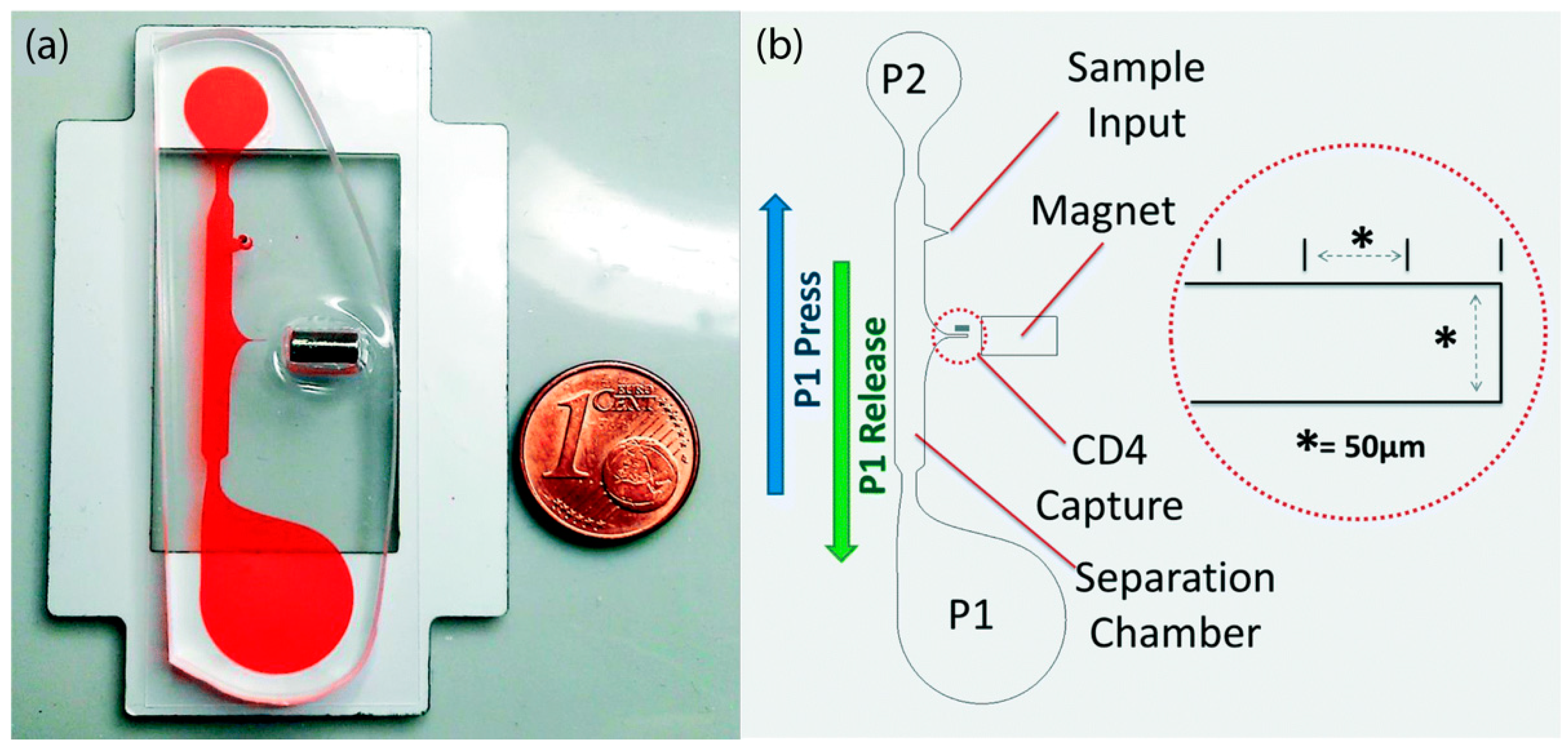 Magnetochemistry 08 00010 g005 Magnetochemistry 08 00010 g005