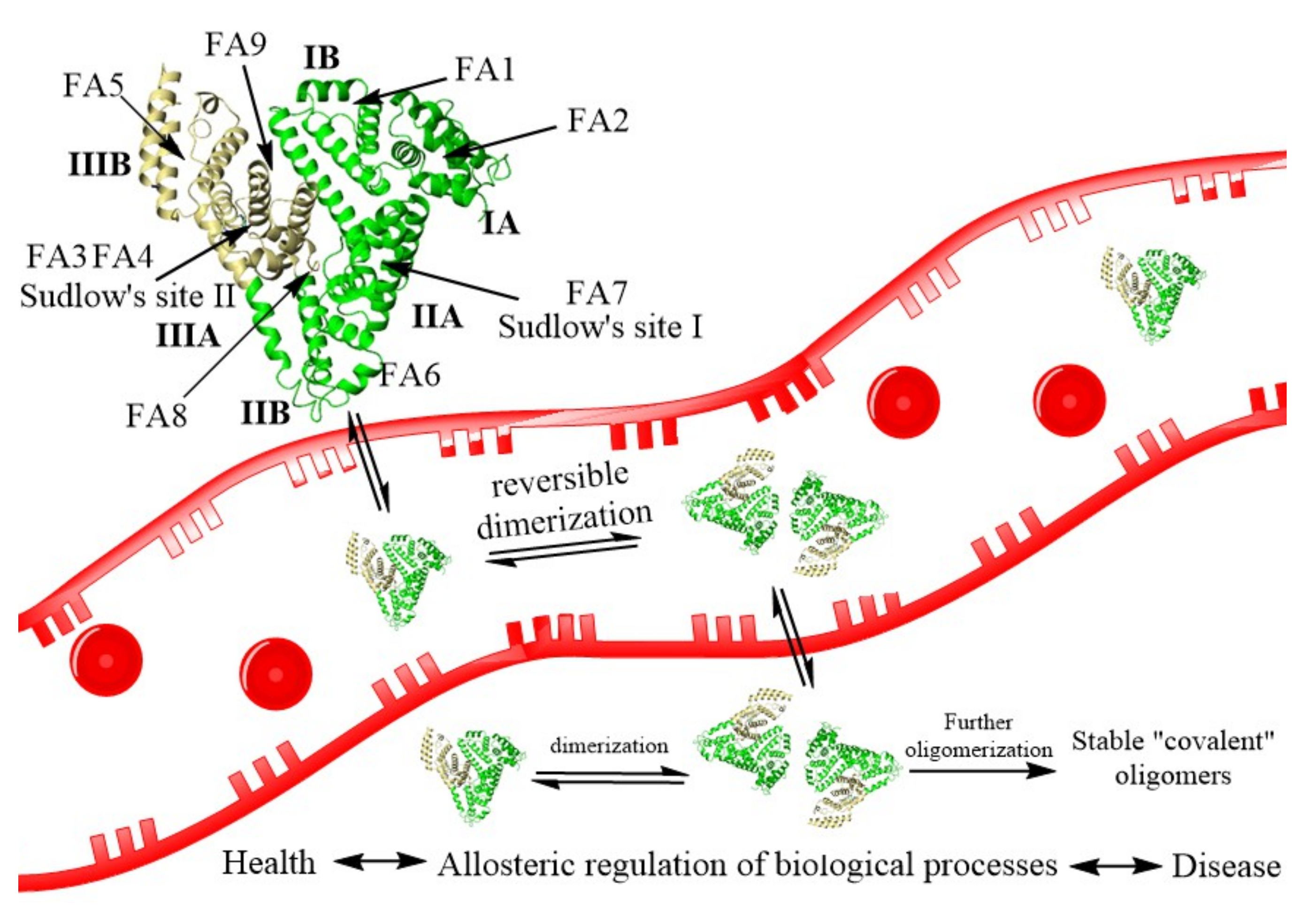 Magnetochemistry 08 00013 g001