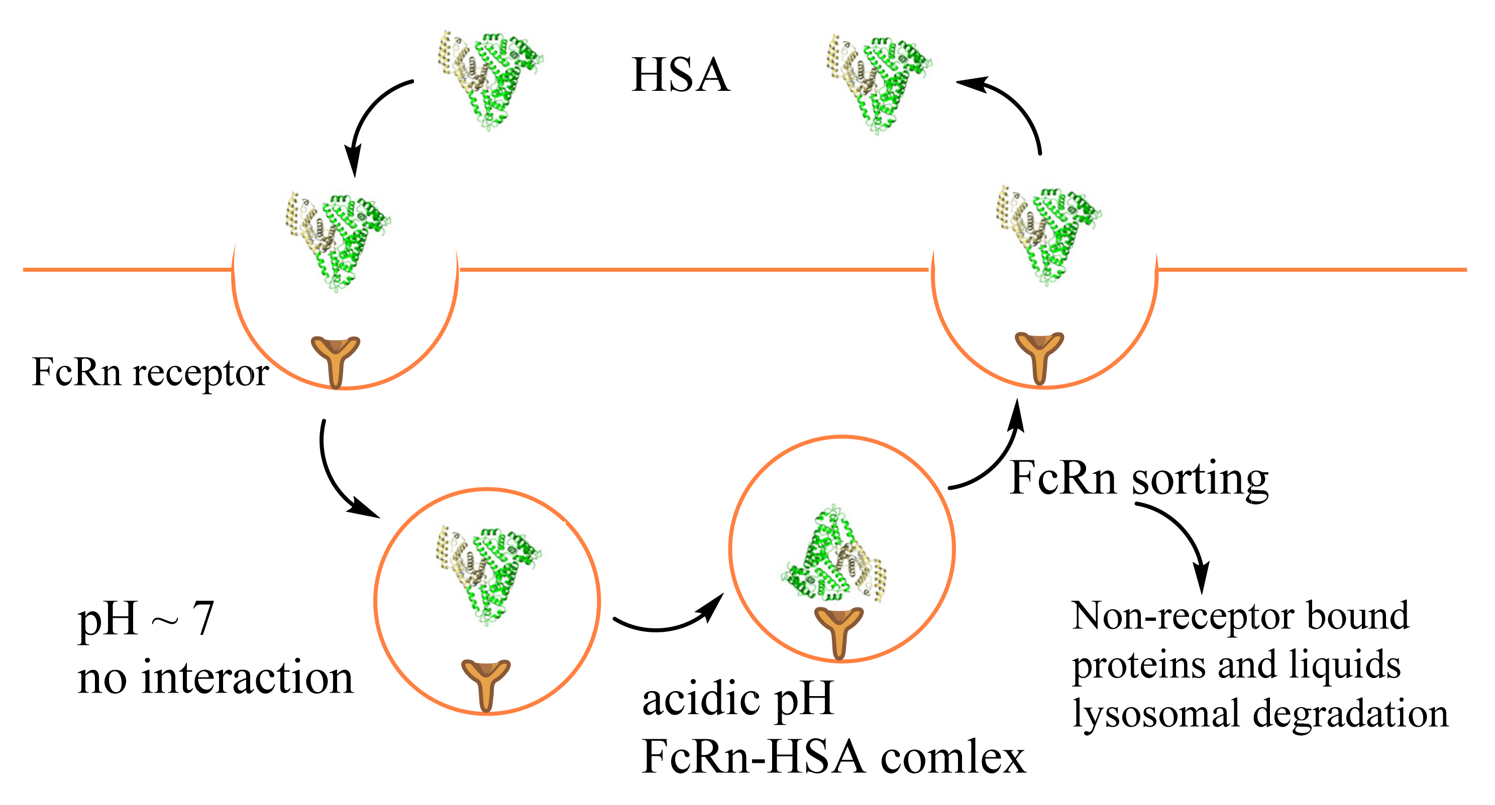 Magnetochemistry 08 00013 g002