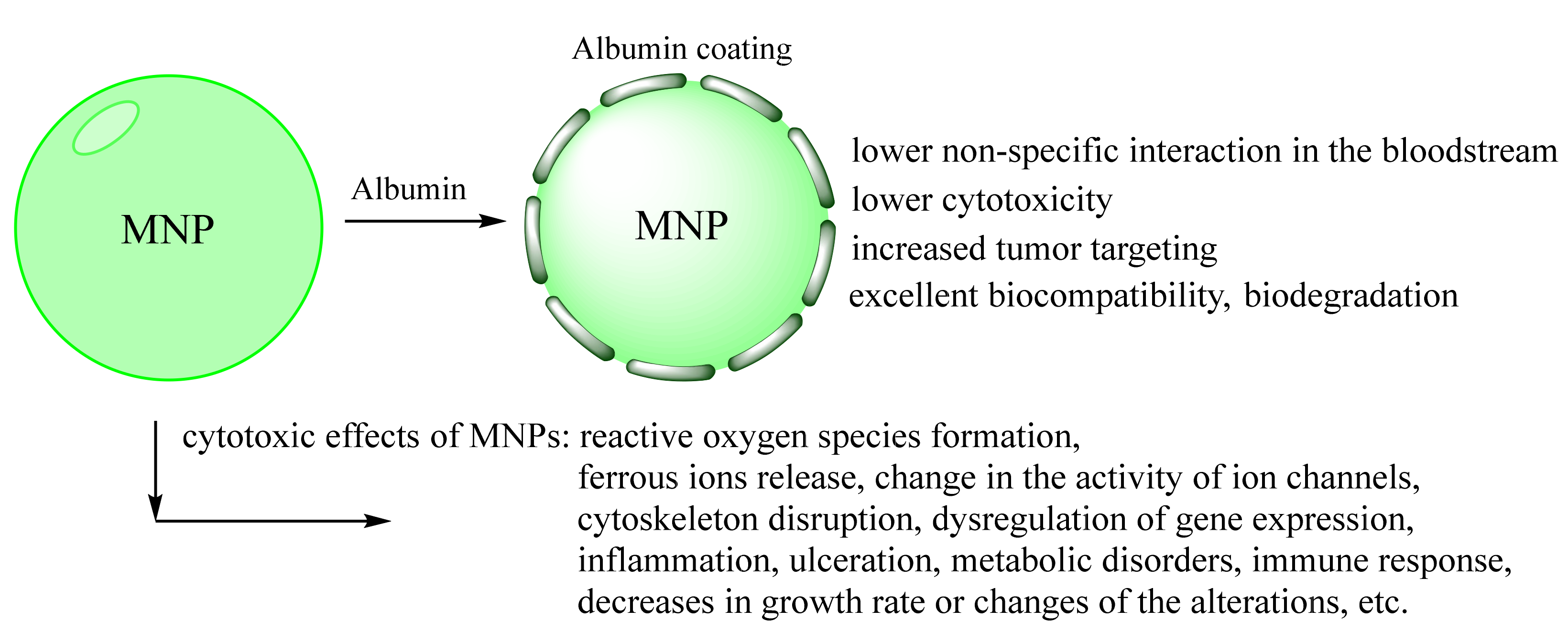 Magnetochemistry 08 00013 g005