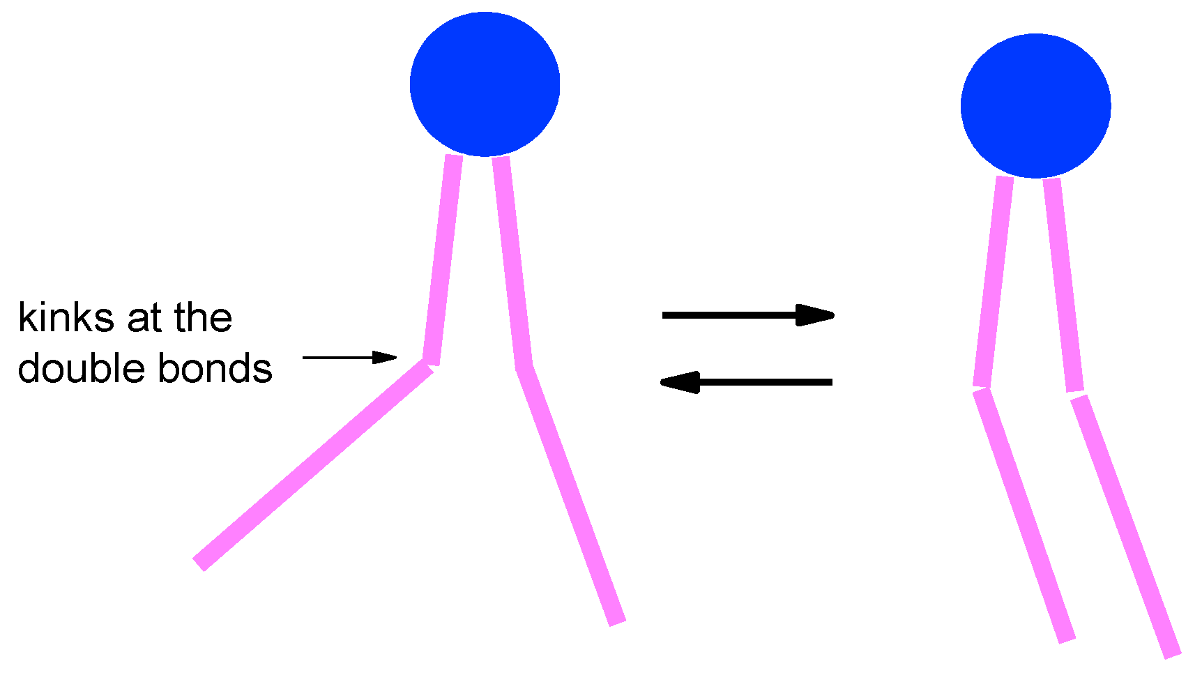 Magnetochemistry 08 00019 g011