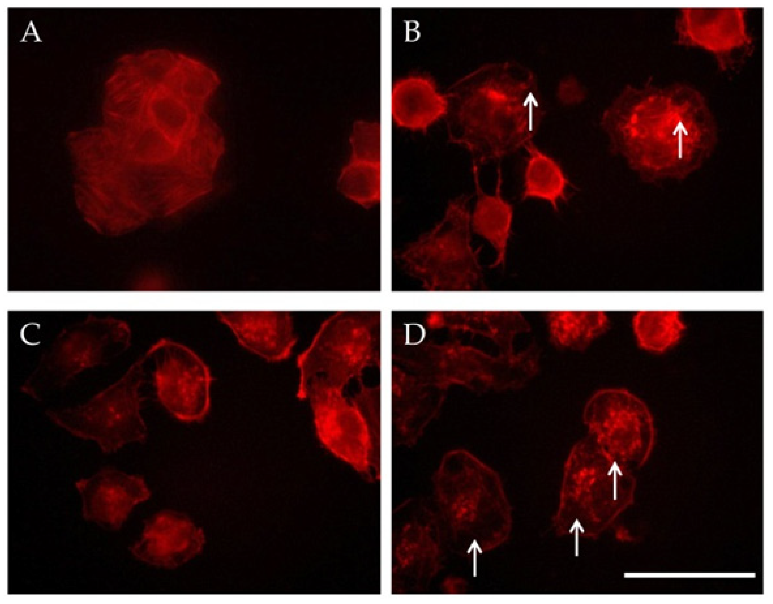 Magnetochemistry 08 00021 g007