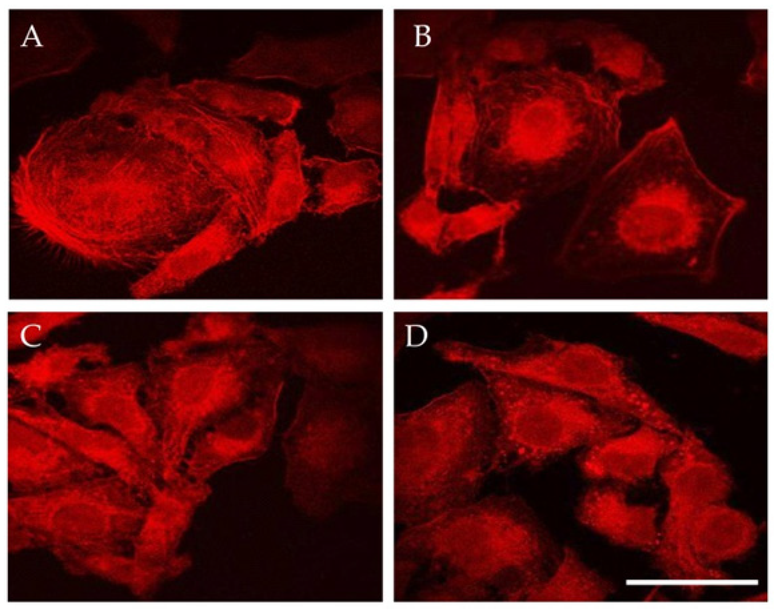 Magnetochemistry 08 00021 g008