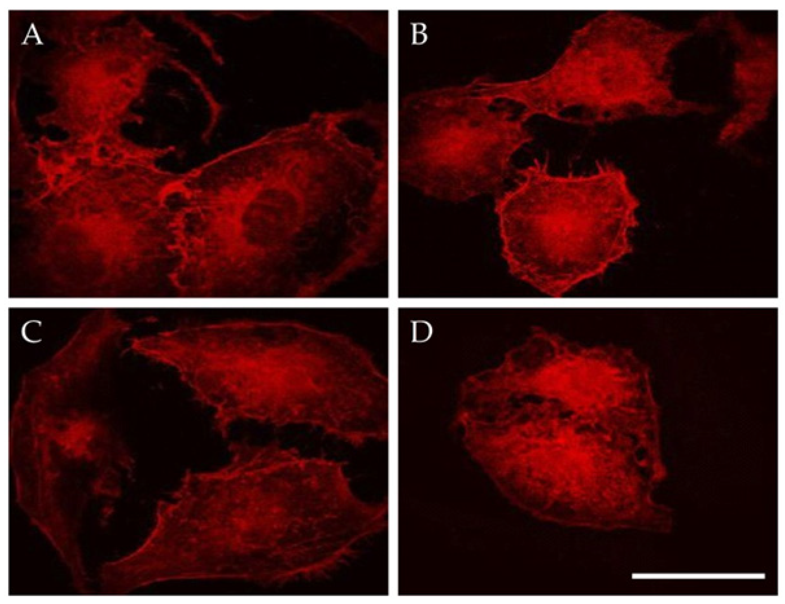 Magnetochemistry 08 00021 g009