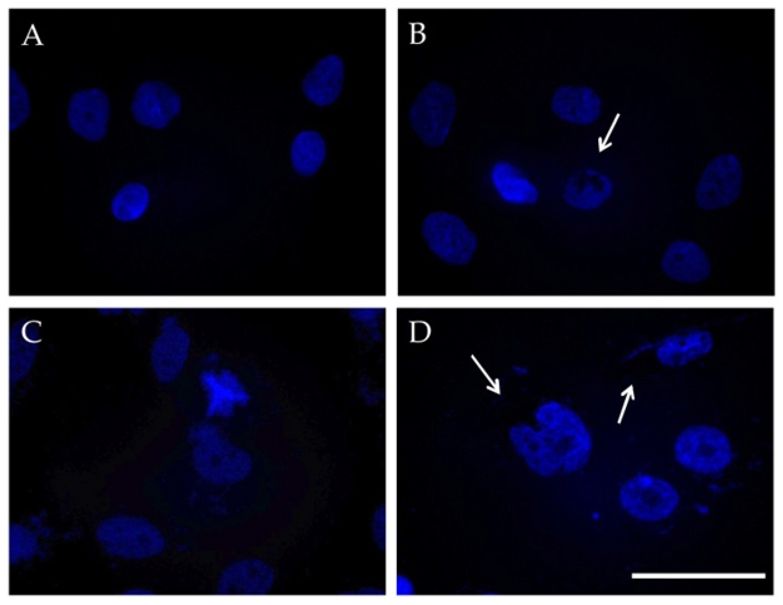Magnetochemistry 08 00021 g010