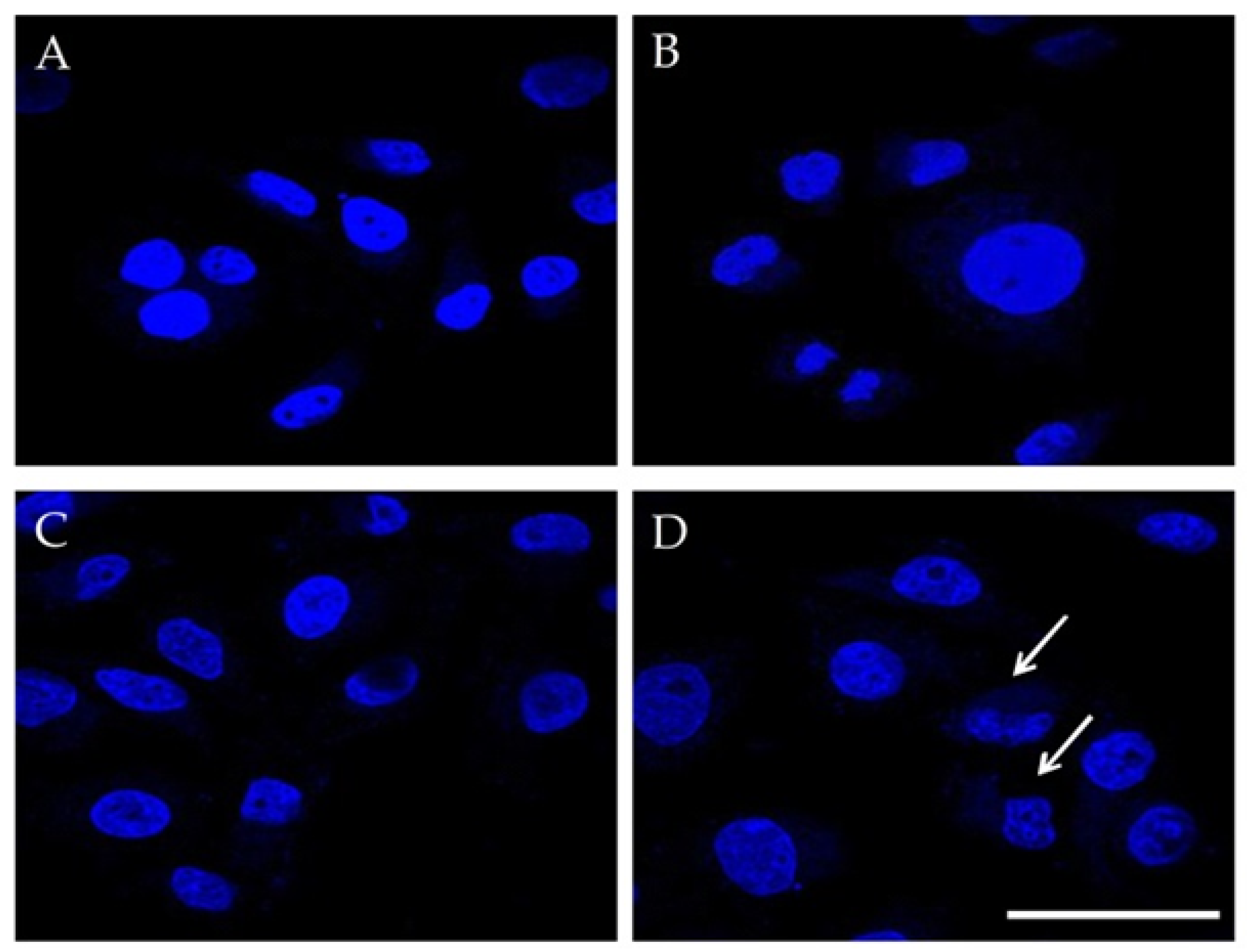 Magnetochemistry 08 00021 g012