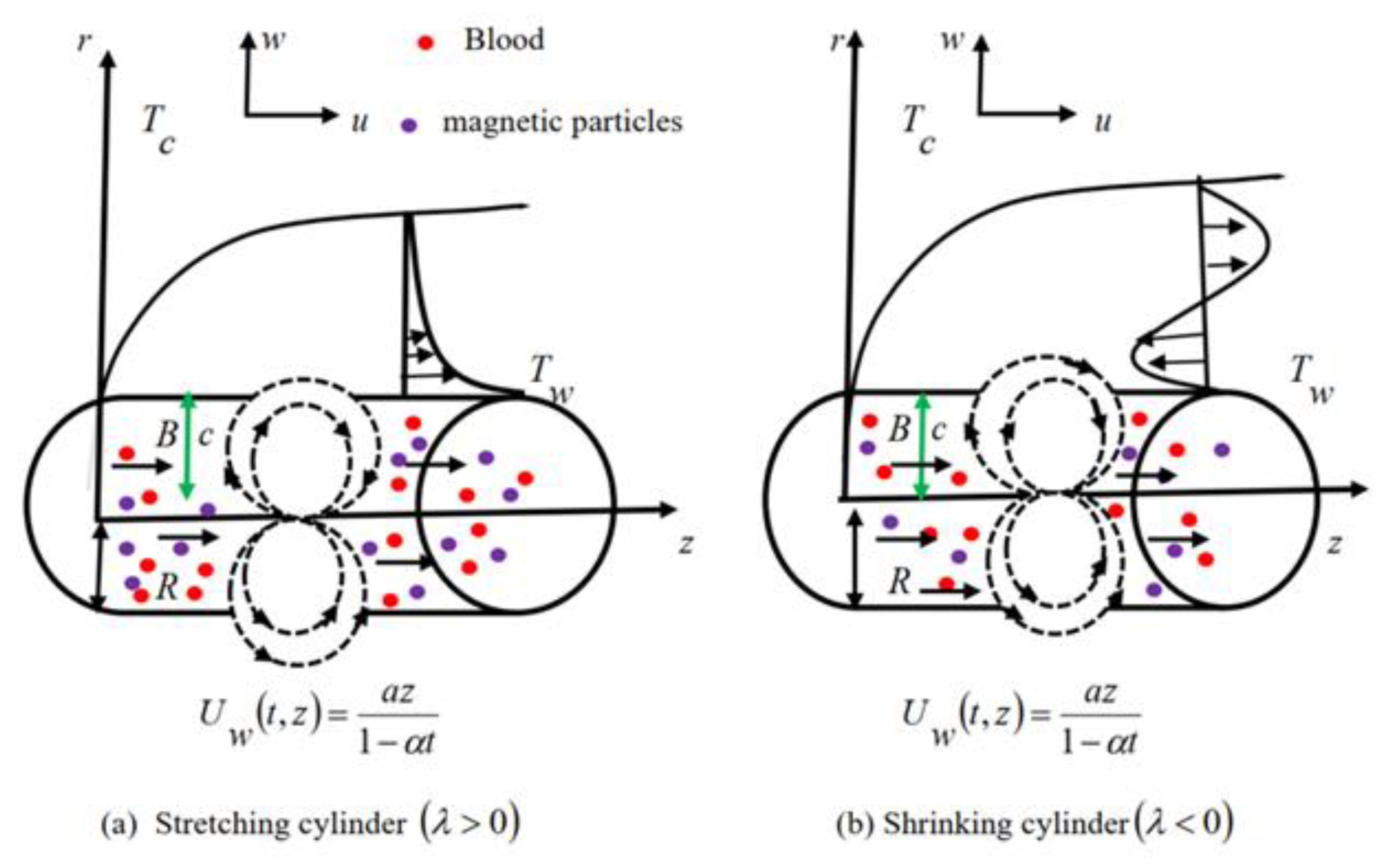 Magnetochemistry 08 00027 g001