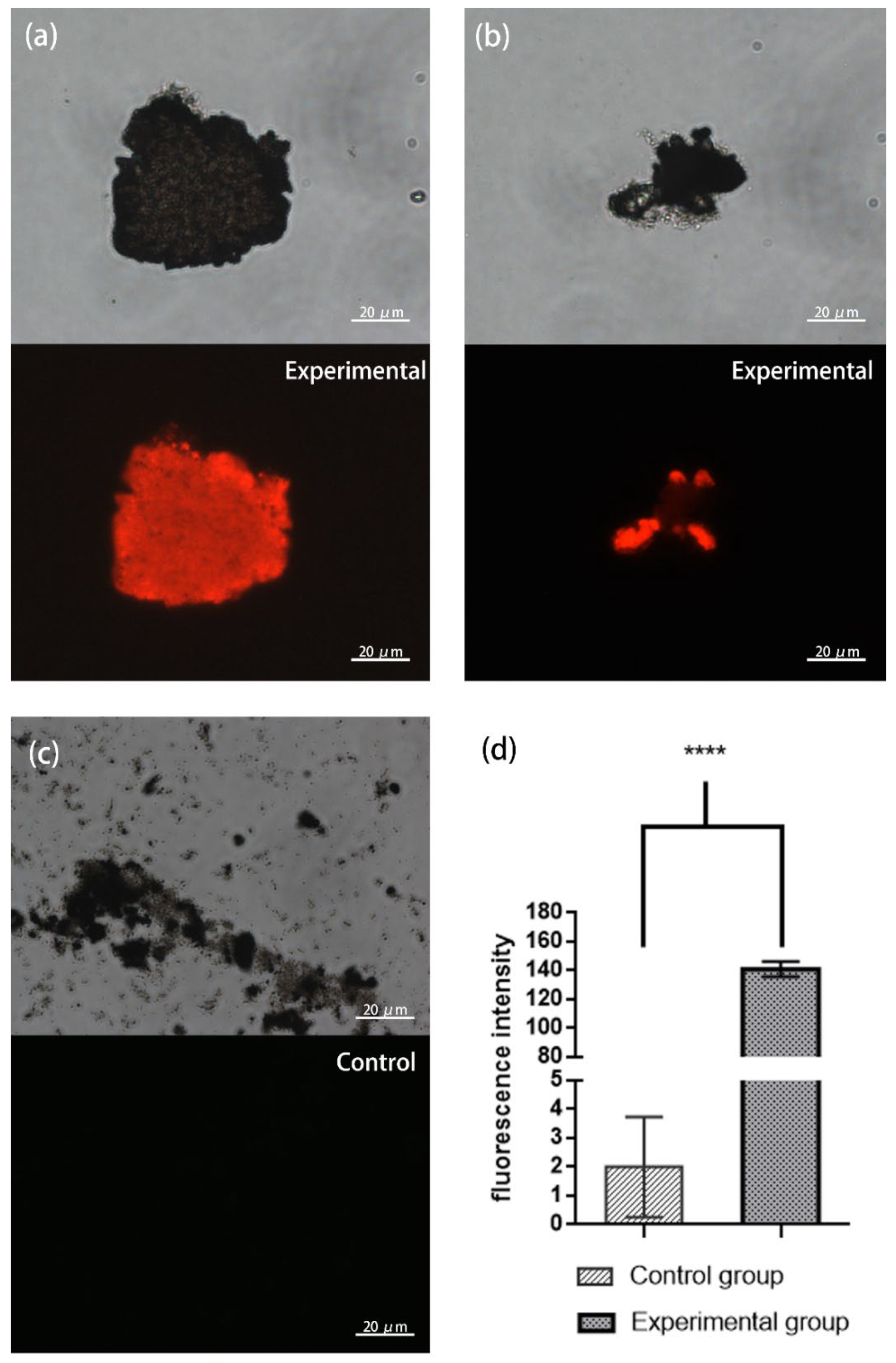 Magnetochemistry 08 00041 g005