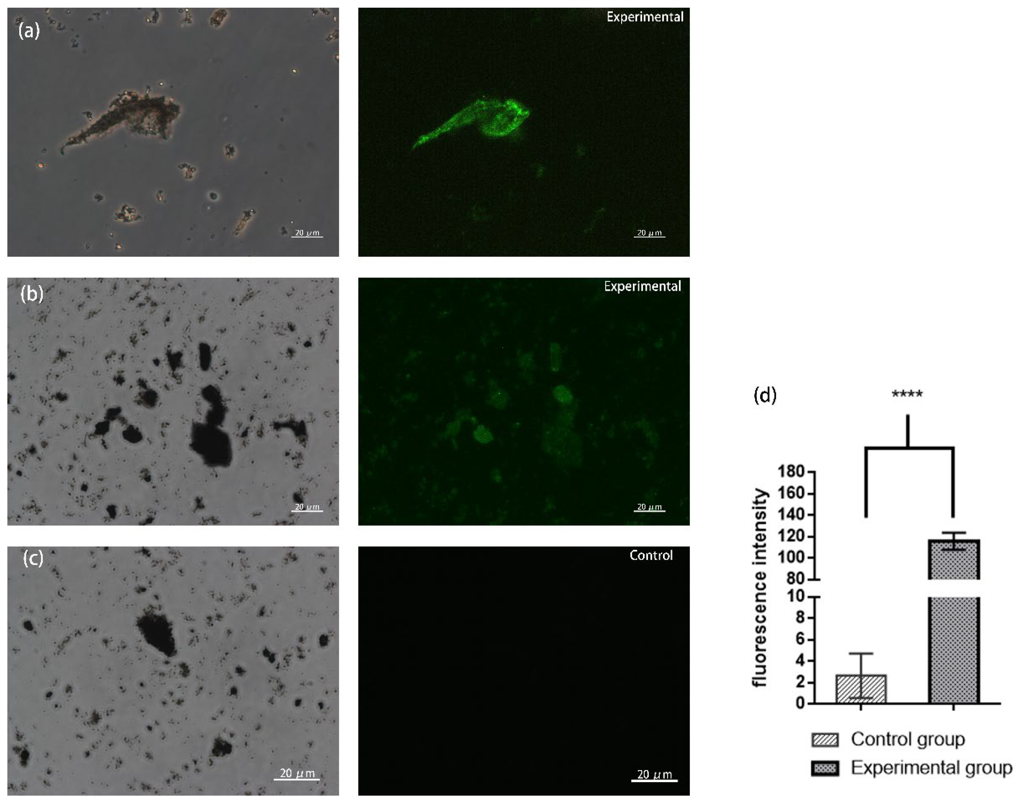 Magnetochemistry 08 00041 g006
