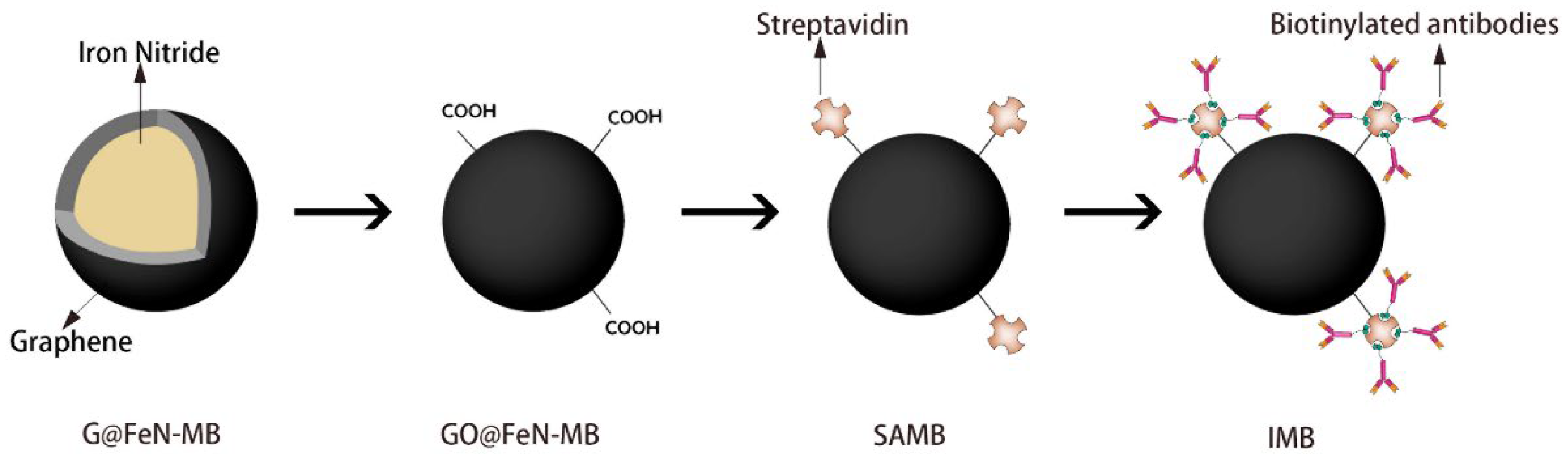Magnetochemistry 08 00041 sch001