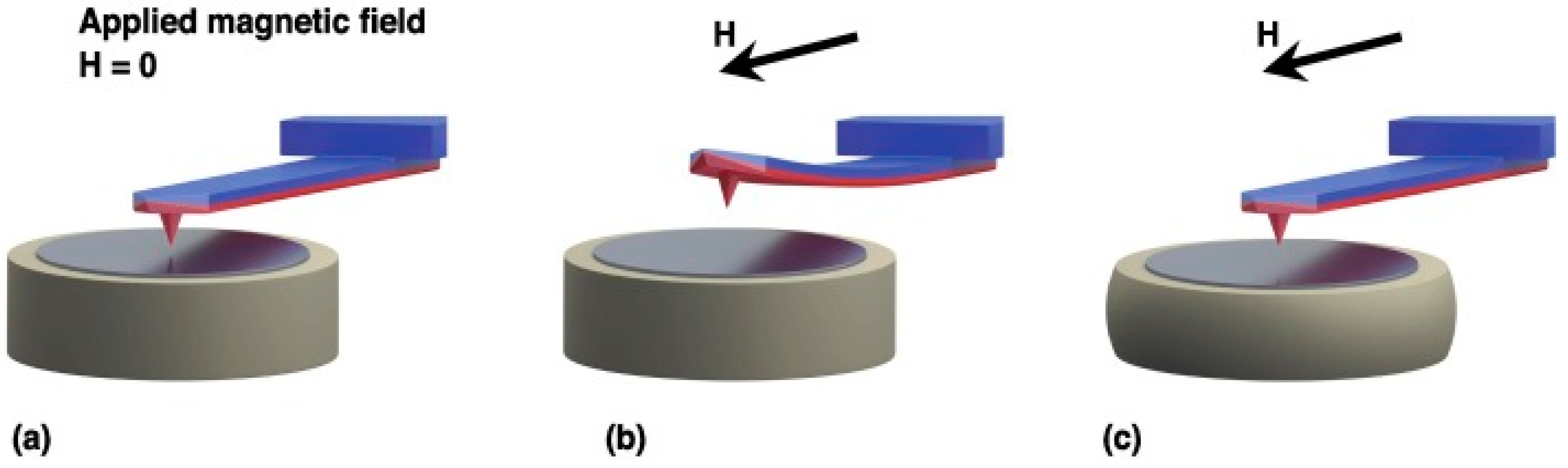Magnetochemistry 08 00042 g002