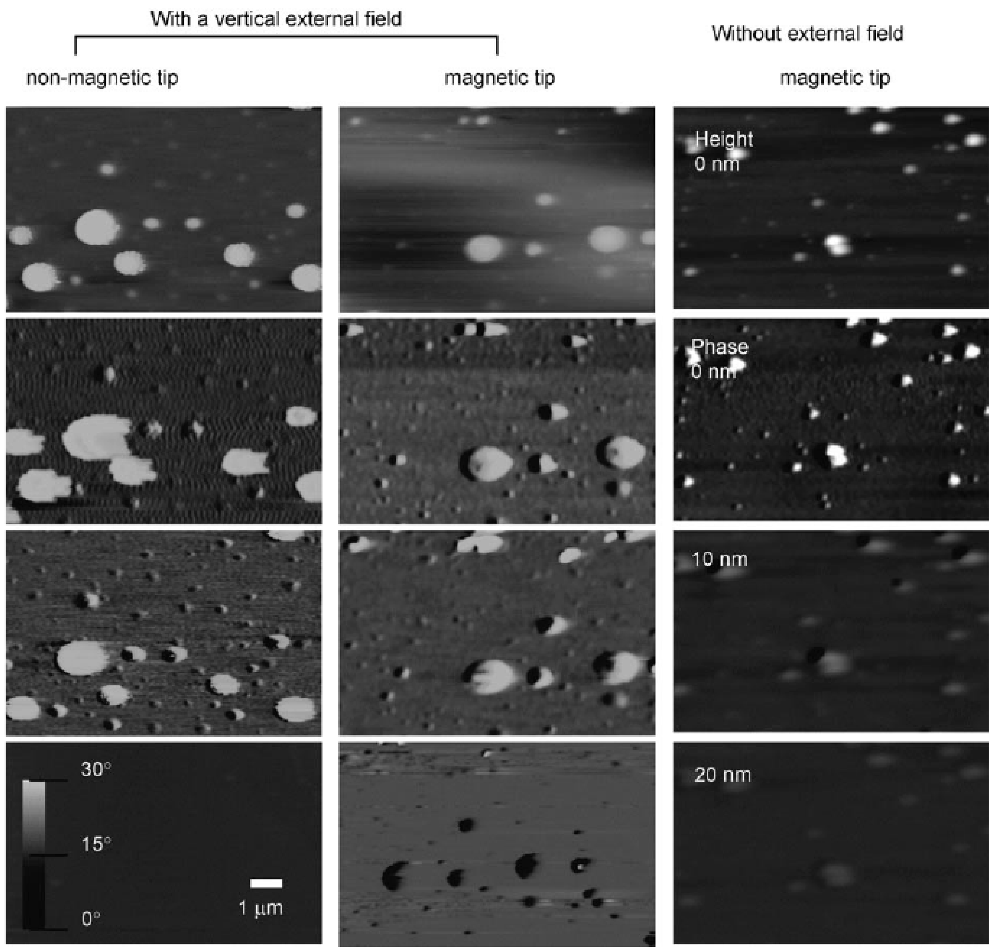 Magnetochemistry 08 00042 g005