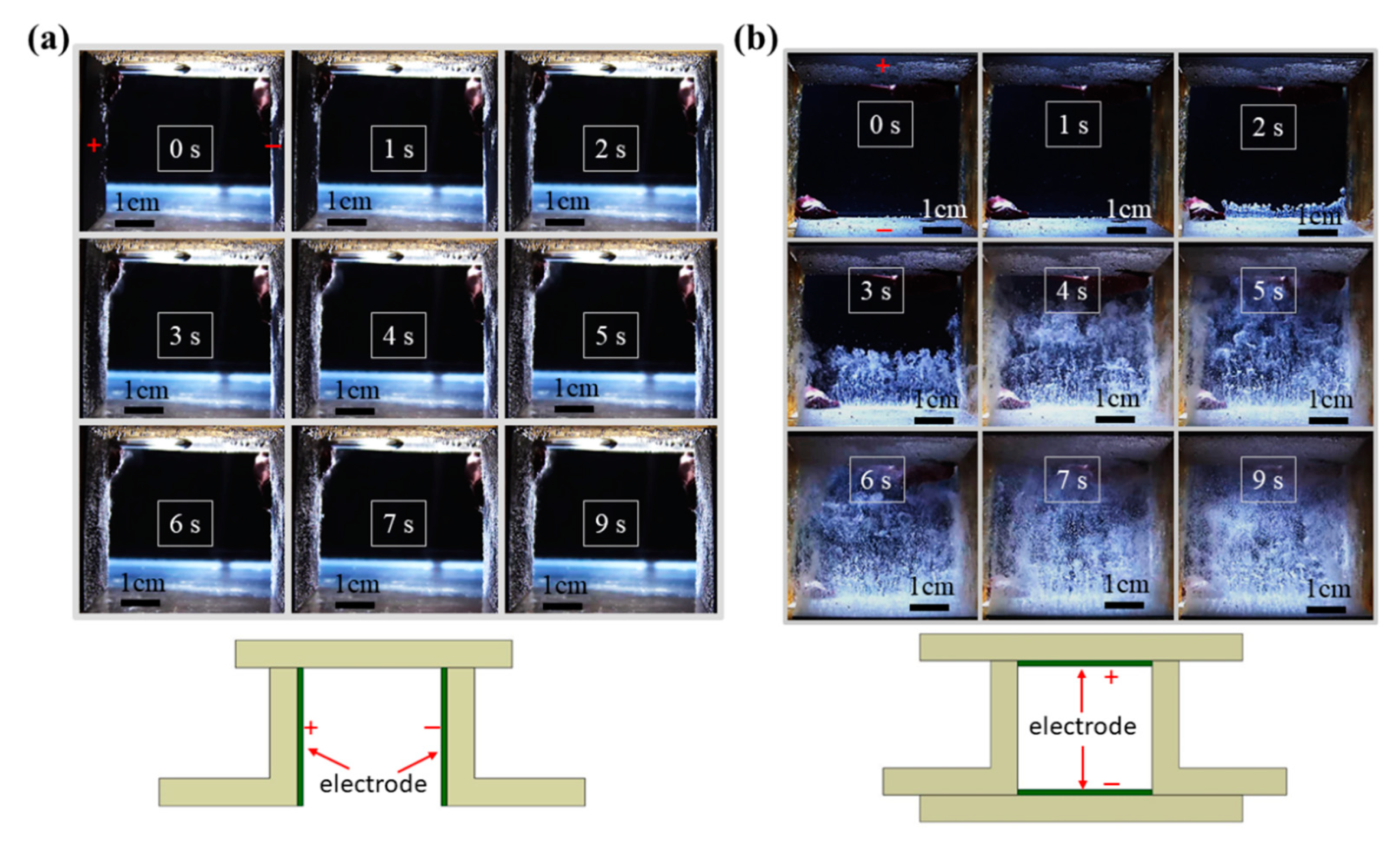 Magnetochemistry 08 00053 g001