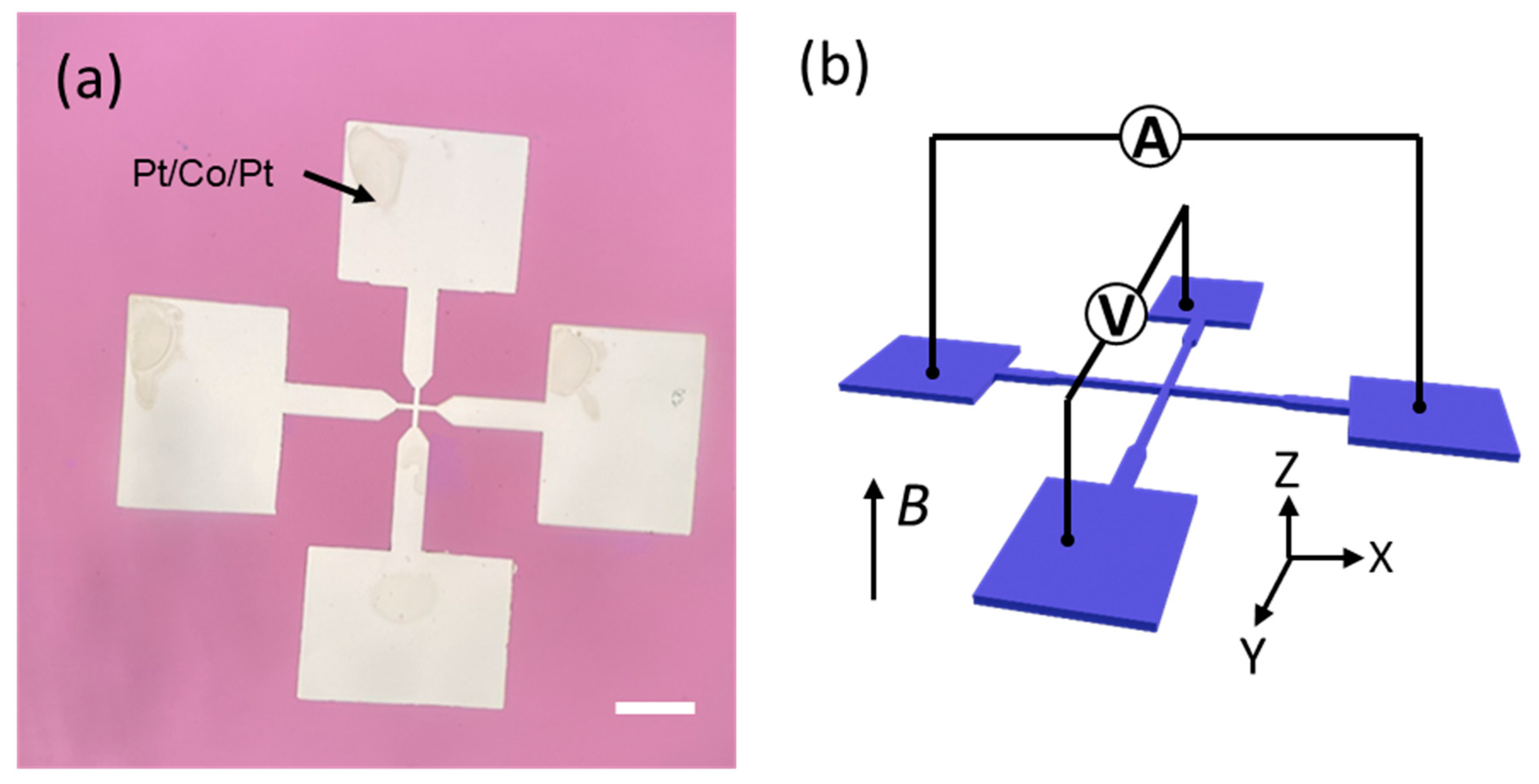 Magnetochemistry 08 00056 g003