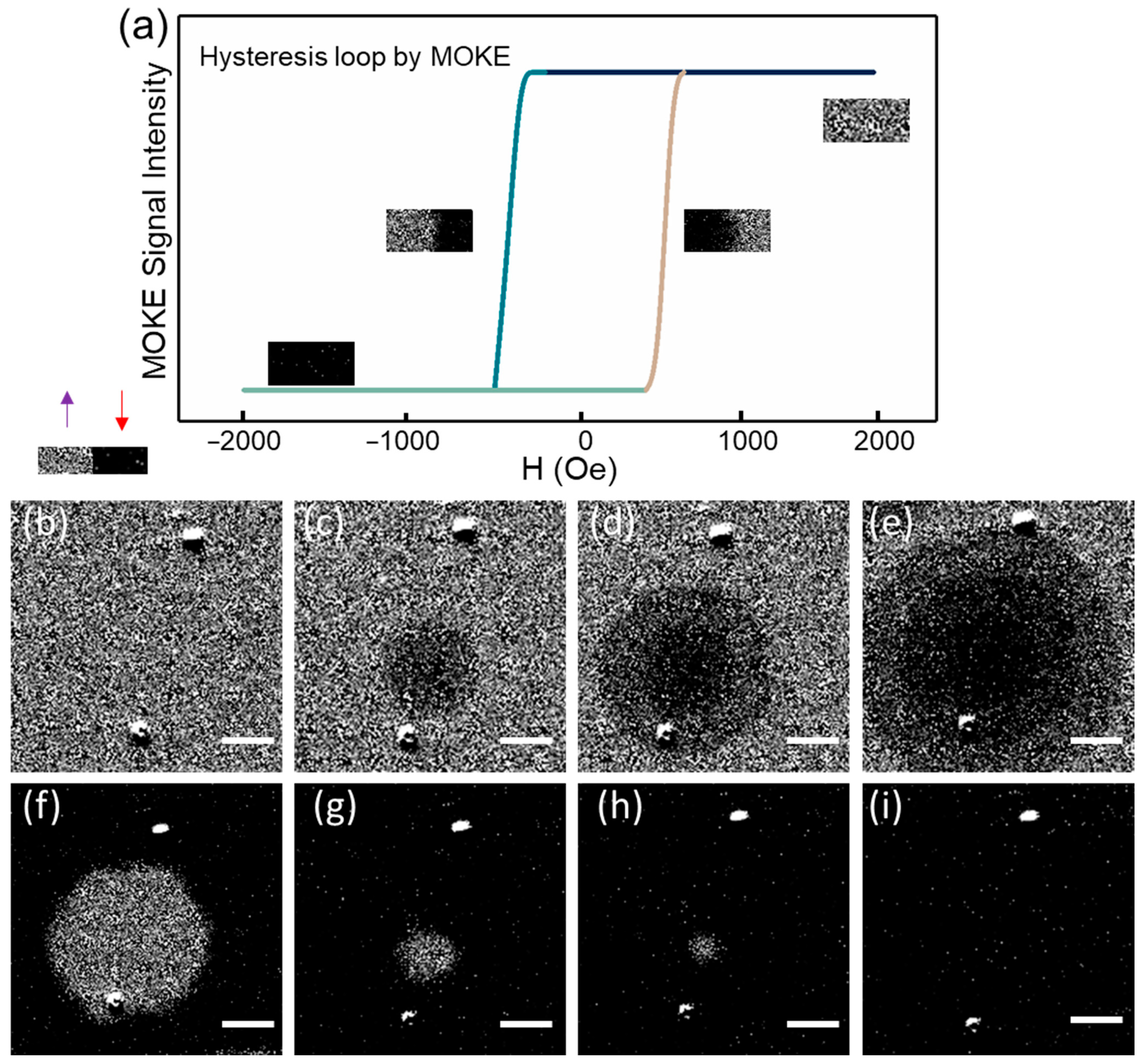 Magnetochemistry 08 00056 g005