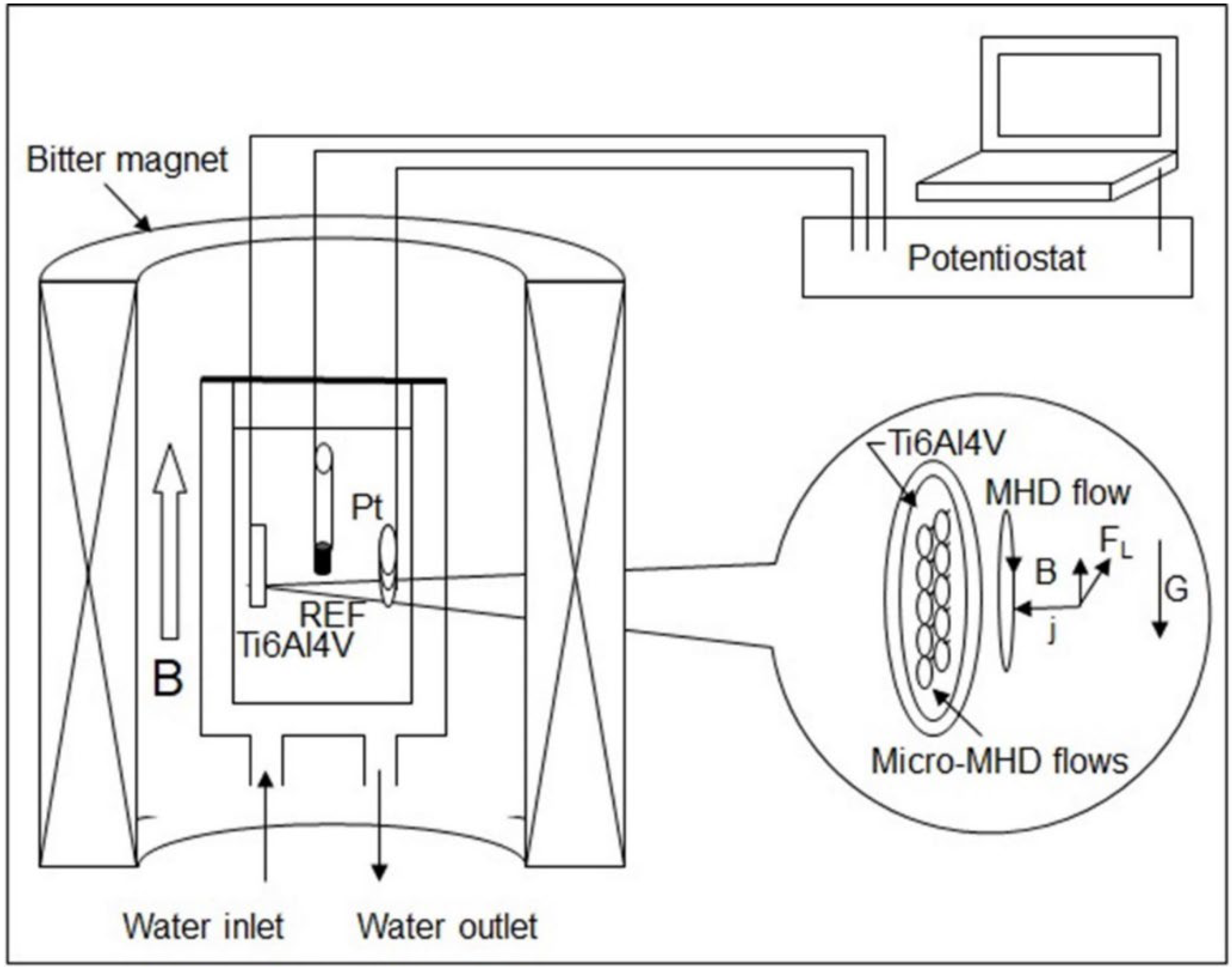 Magnetochemistry 08 00062 g001