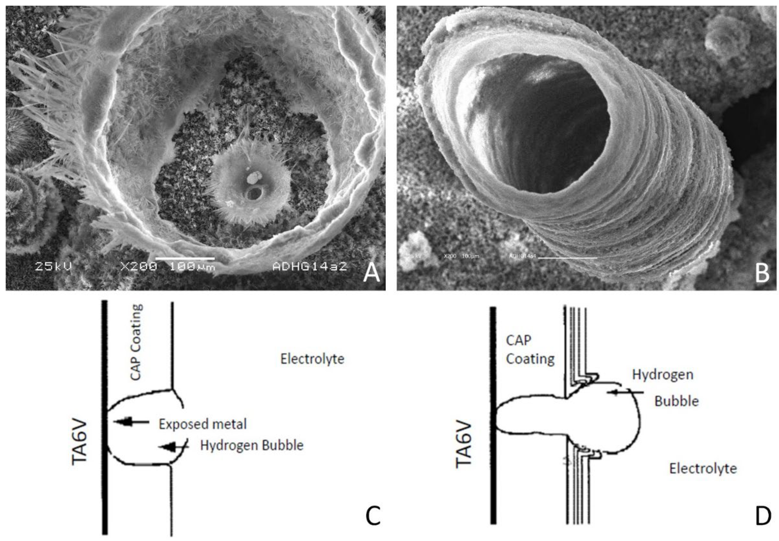 Magnetochemistry 08 00062 g005