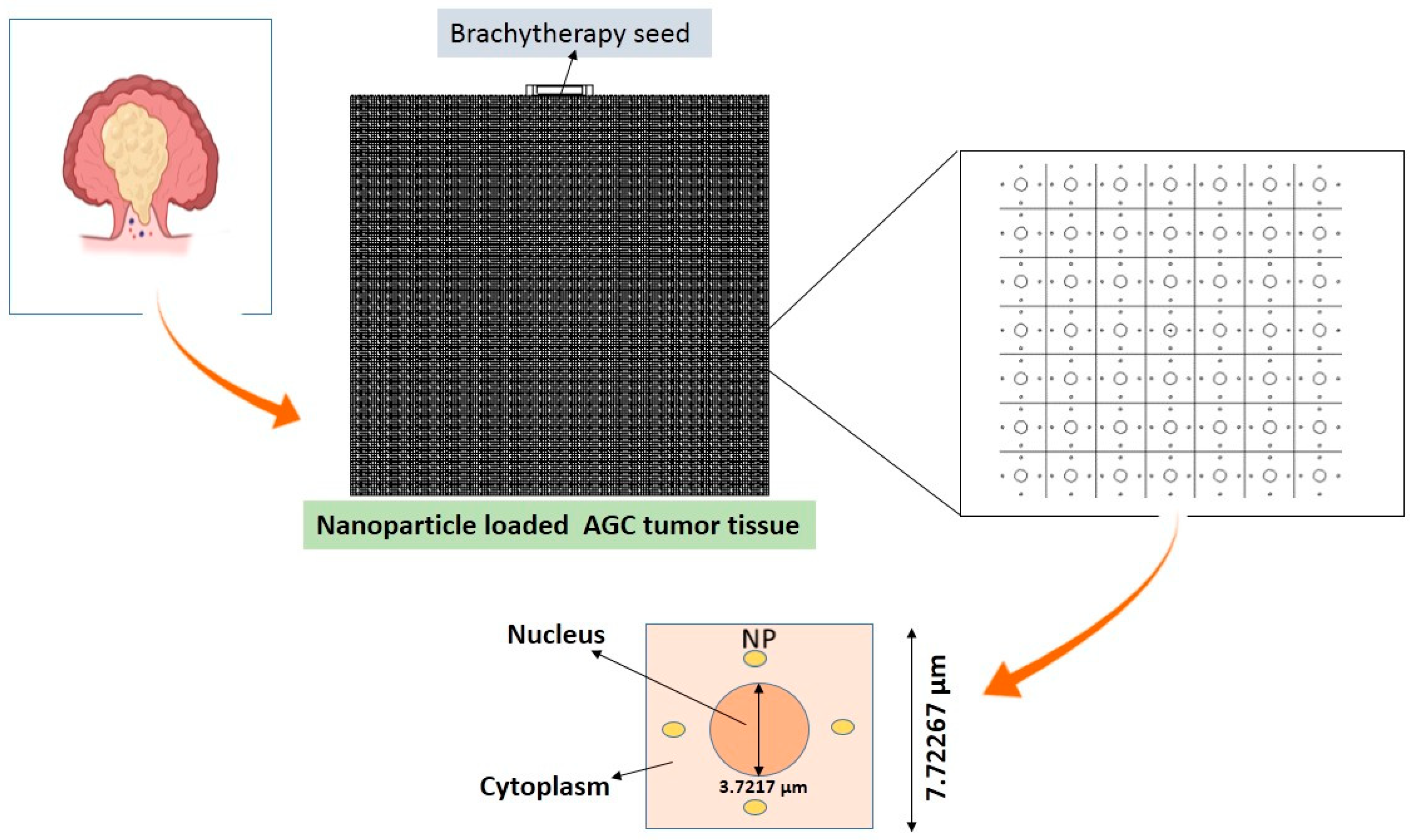 Magnetochemistry 08 00097 g001