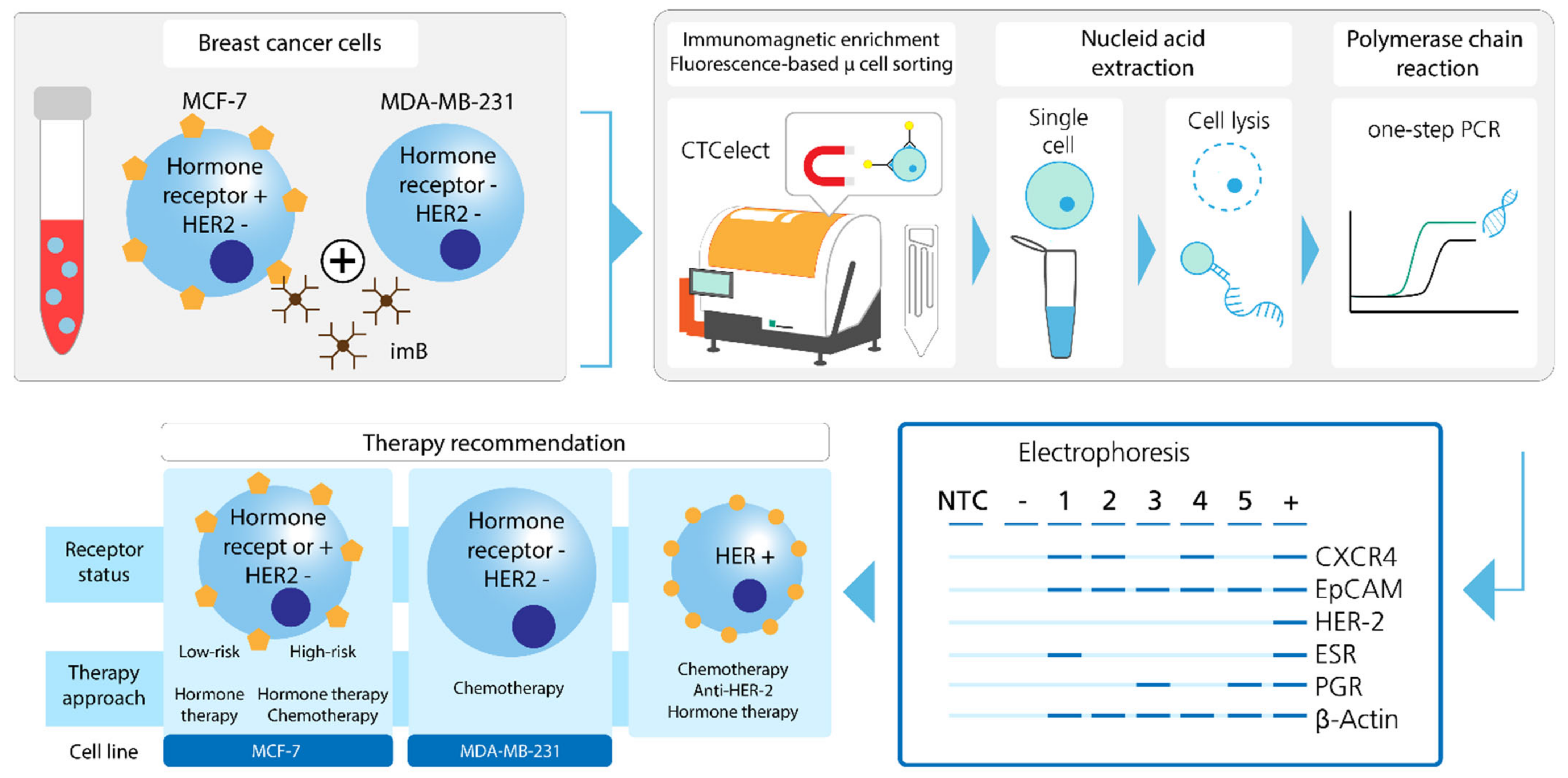 Magnetochemistry 08 00099 g001