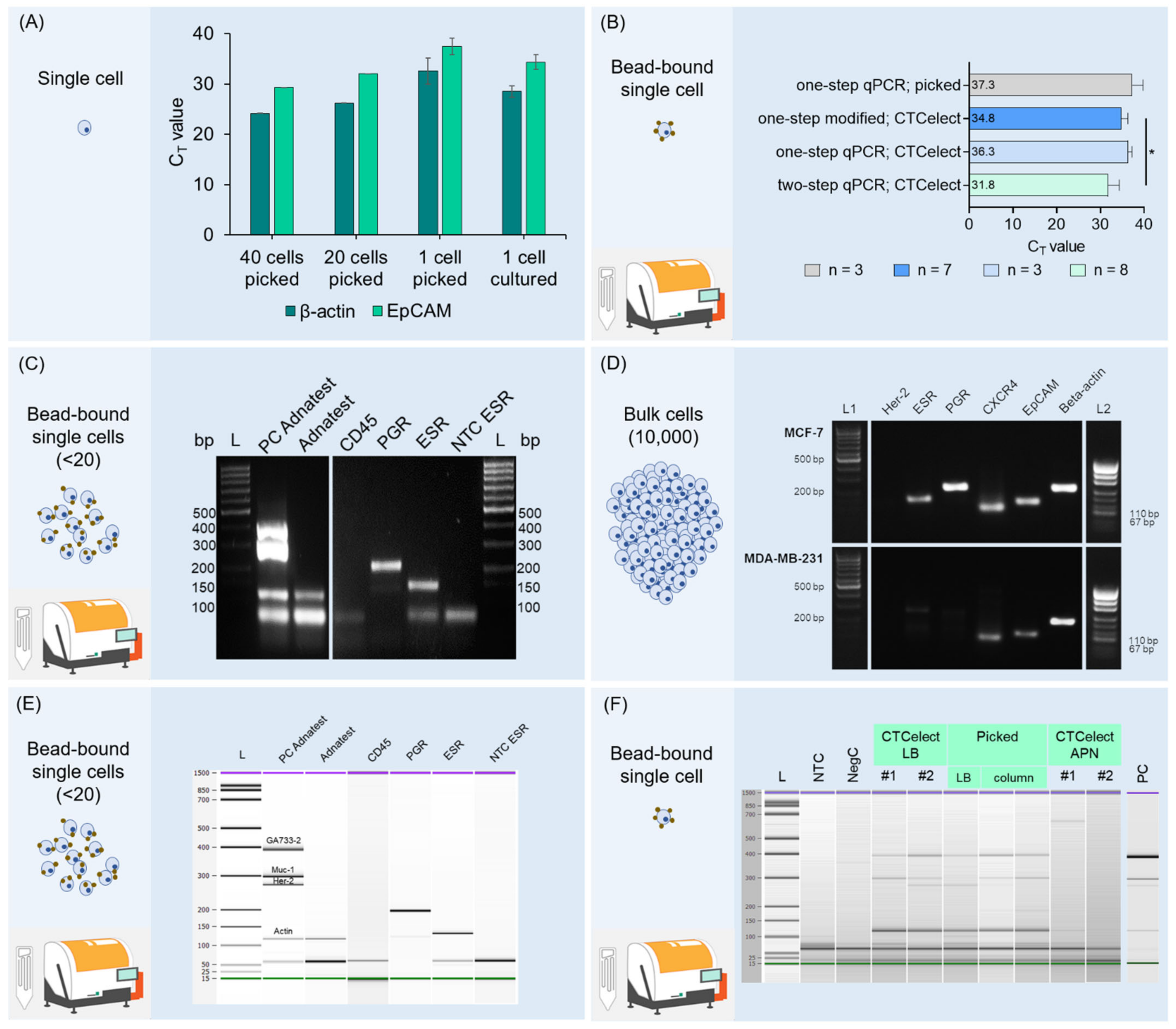 Magnetochemistry 08 00099 g005