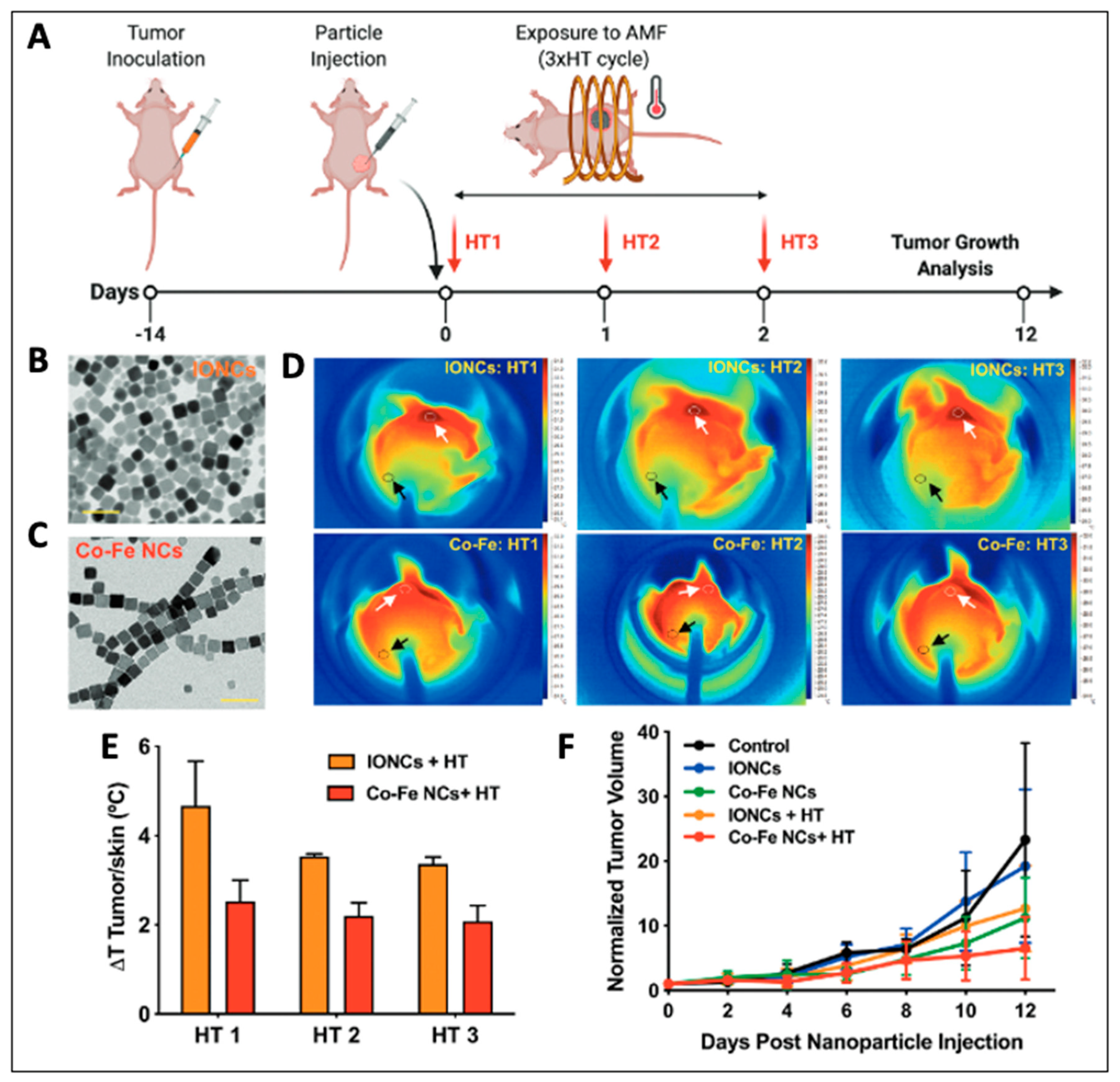 Magnetochemistry 08 00107 g004