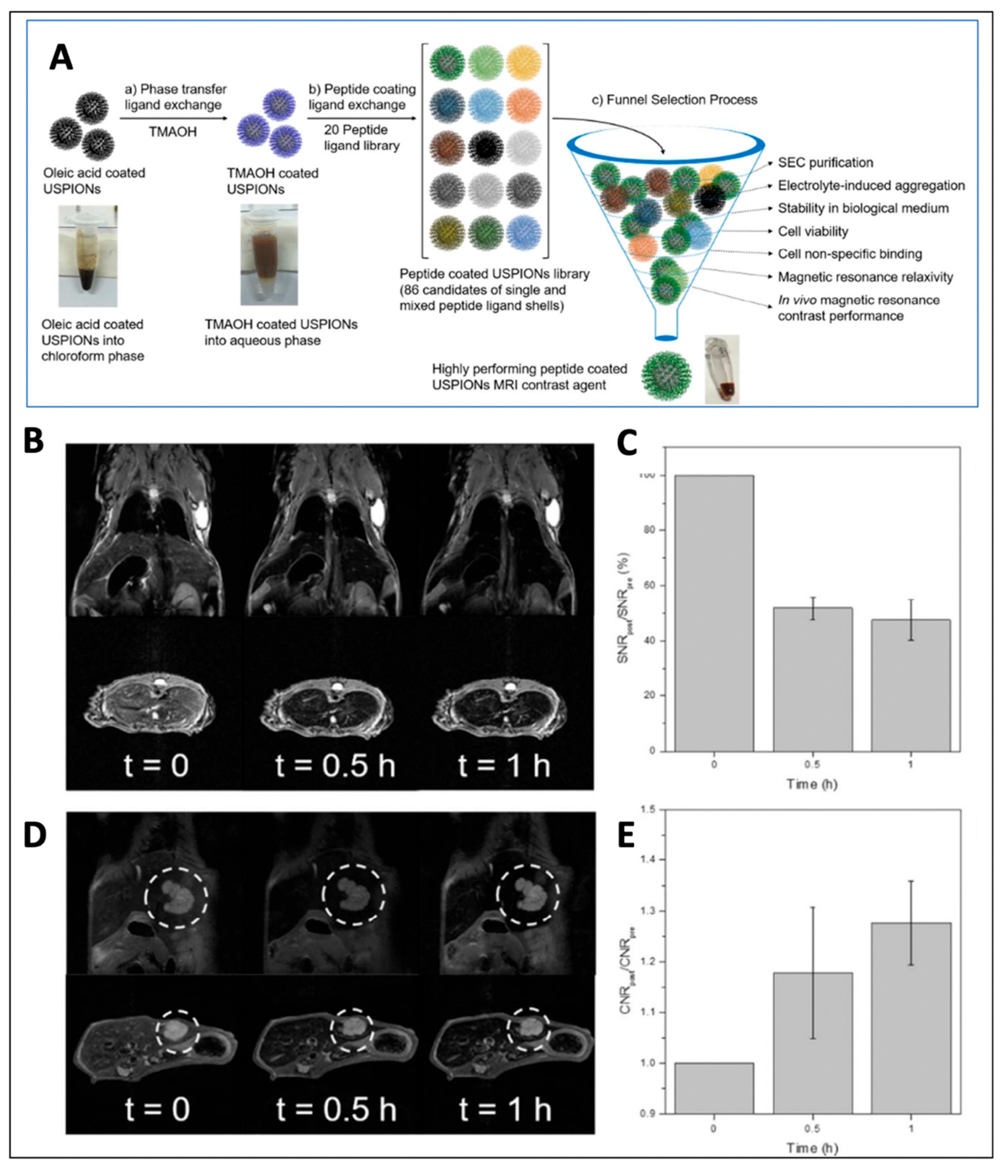 Magnetochemistry 08 00107 g006