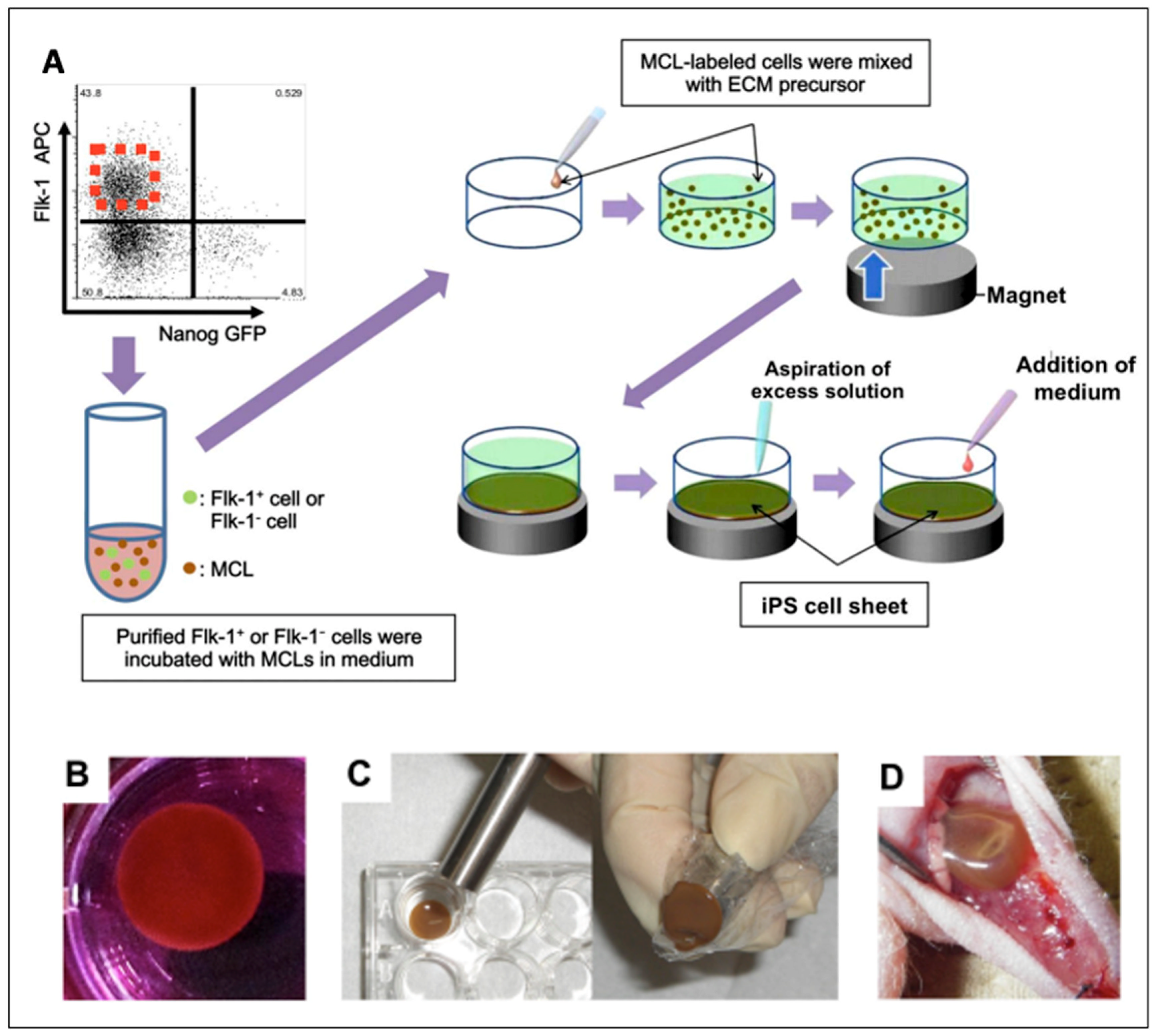 Magnetochemistry 08 00107 g010