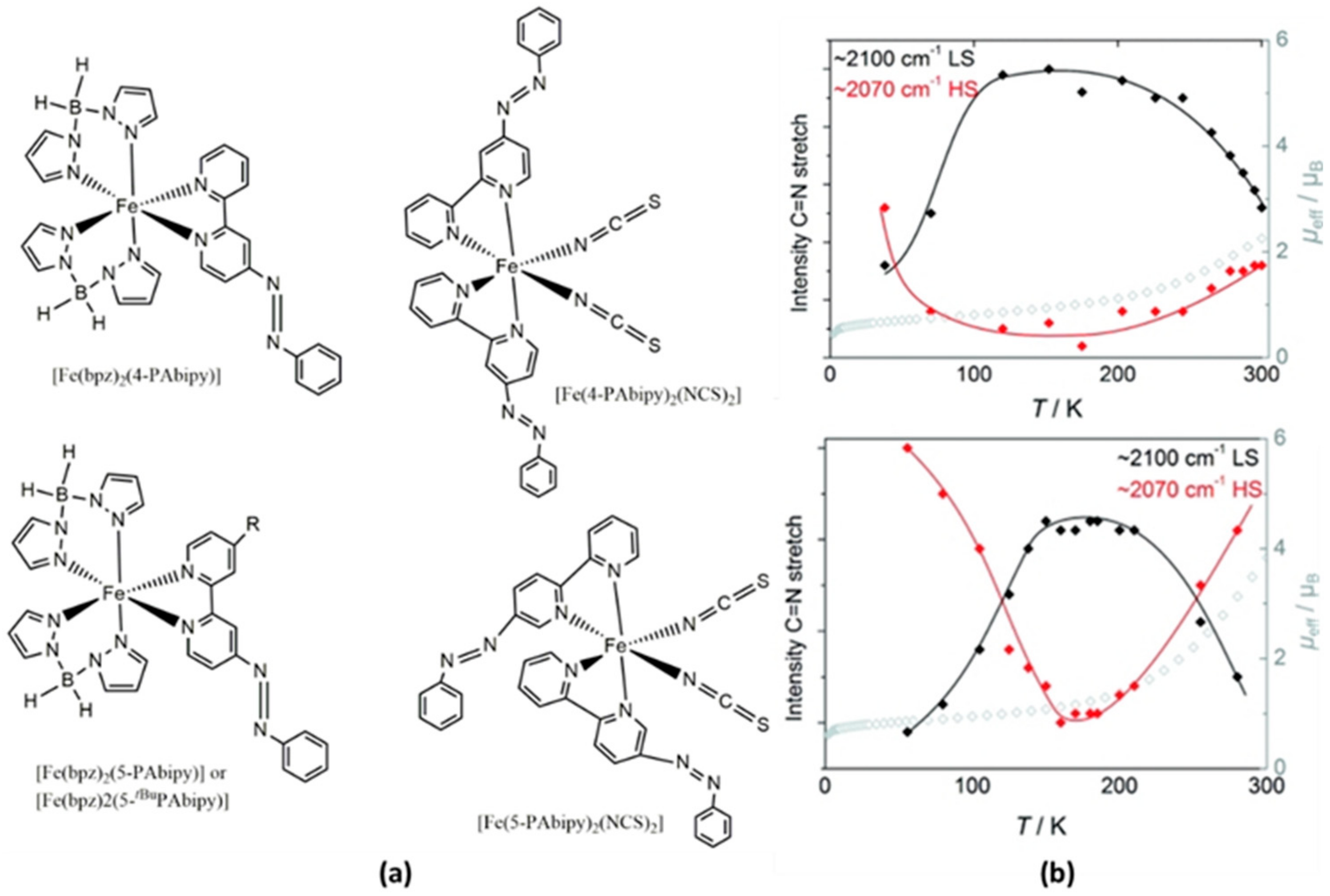 Magnetochemistry 08 00108 g006