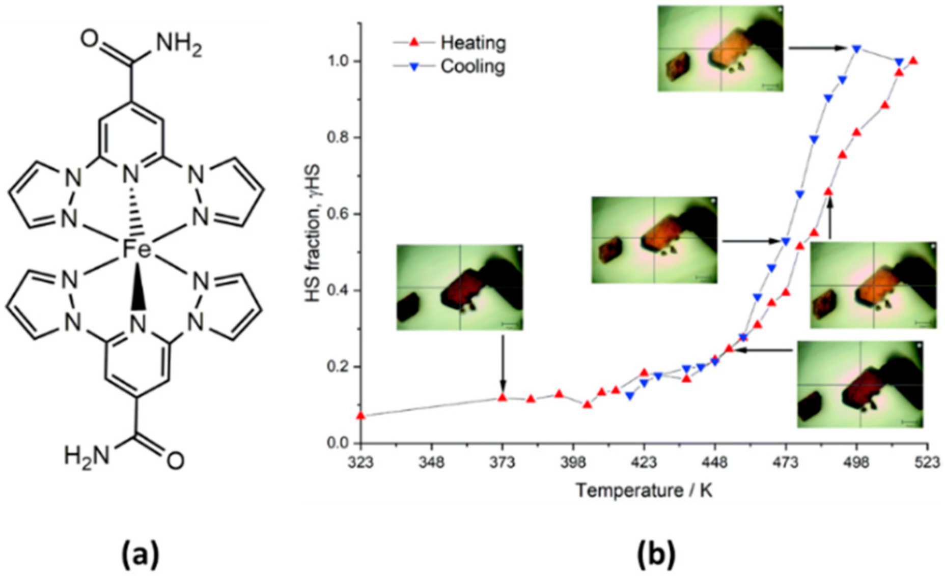 Magnetochemistry 08 00108 g012