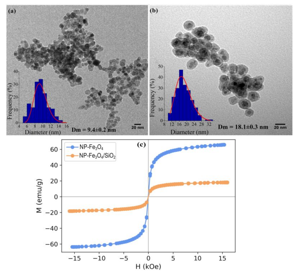 Magnetochemistry 08 00114 g002 Magnetochemistry 08 00114 g002