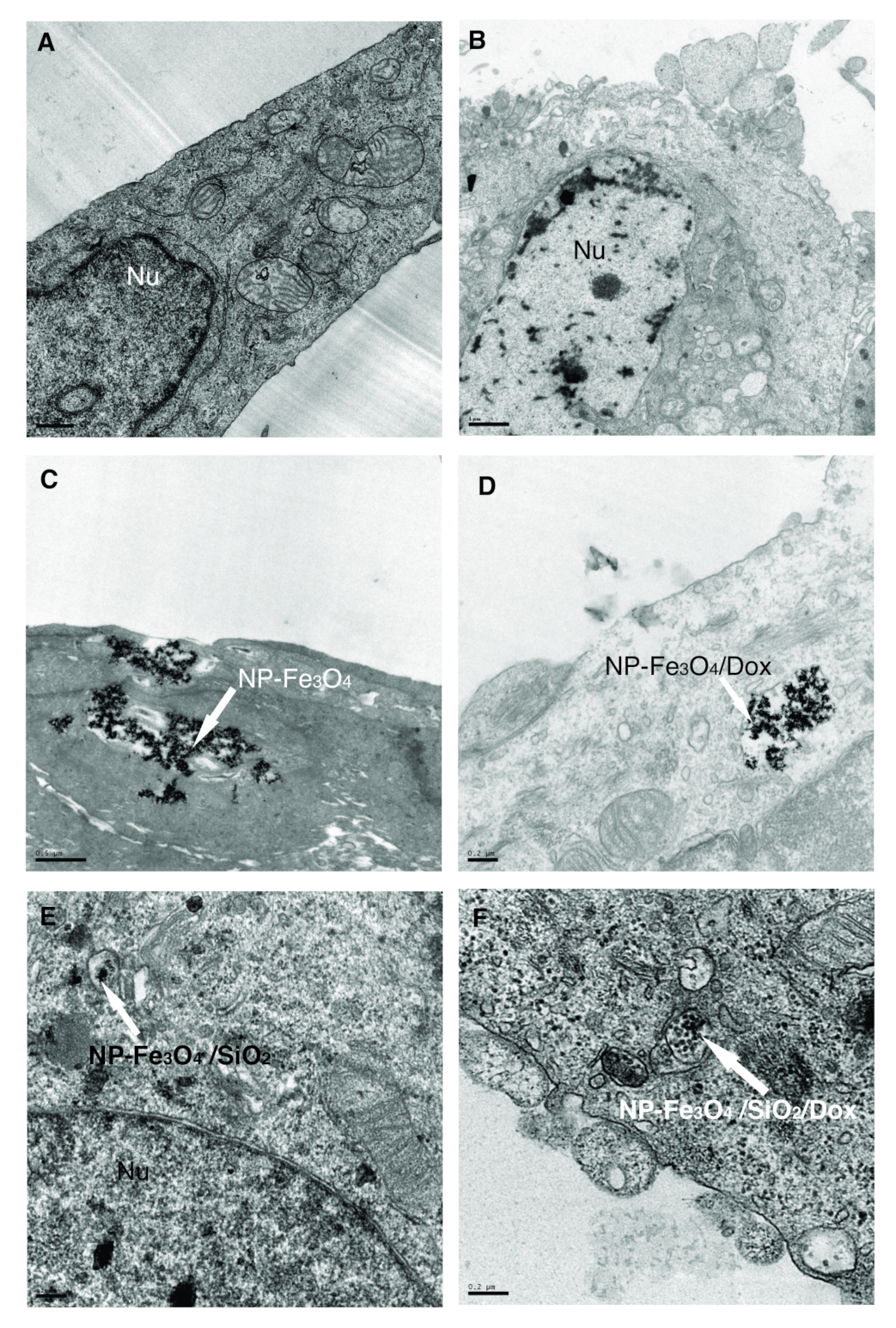 Magnetochemistry 08 00114 g007 Magnetochemistry 08 00114 g007