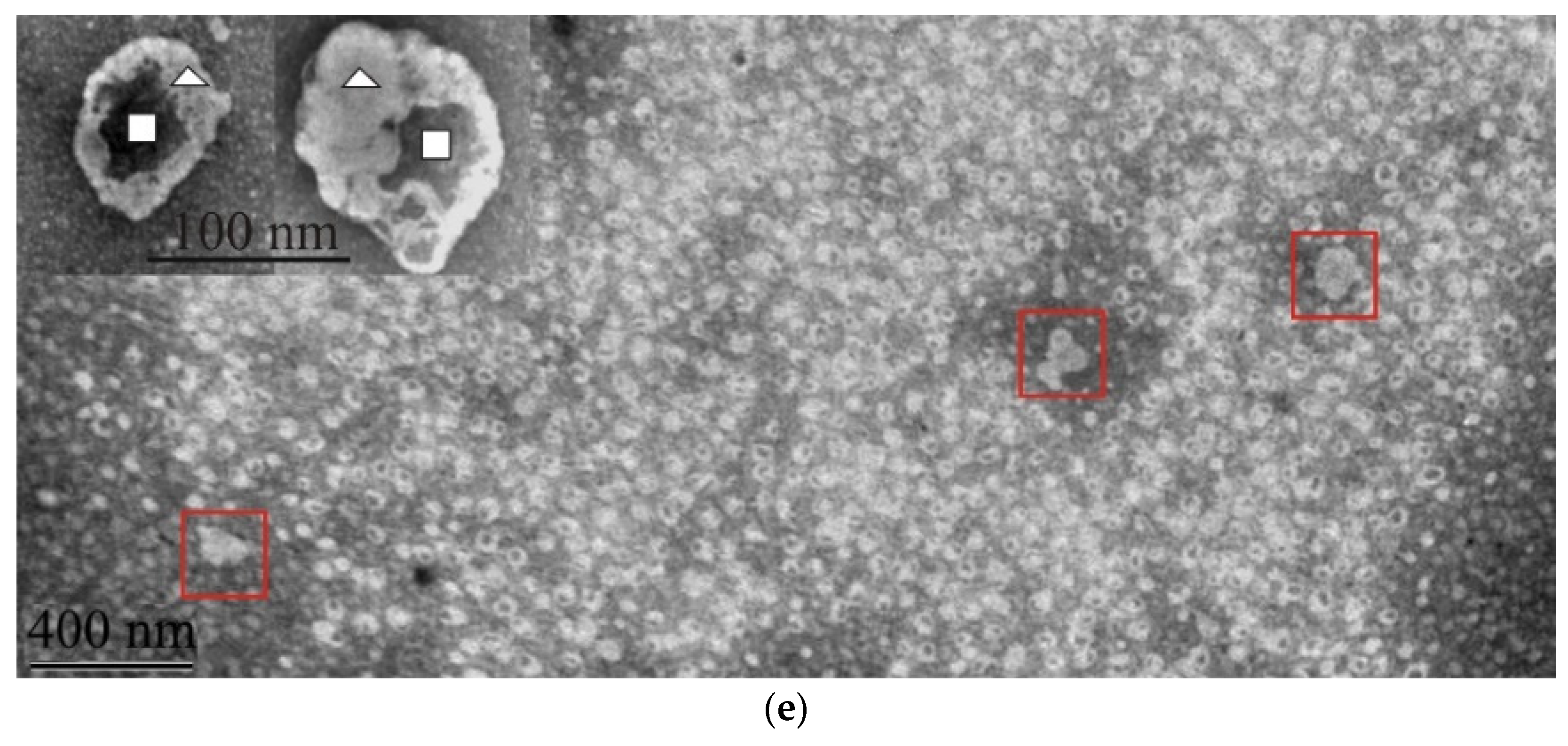 Magnetochemistry 08 00127 g002c