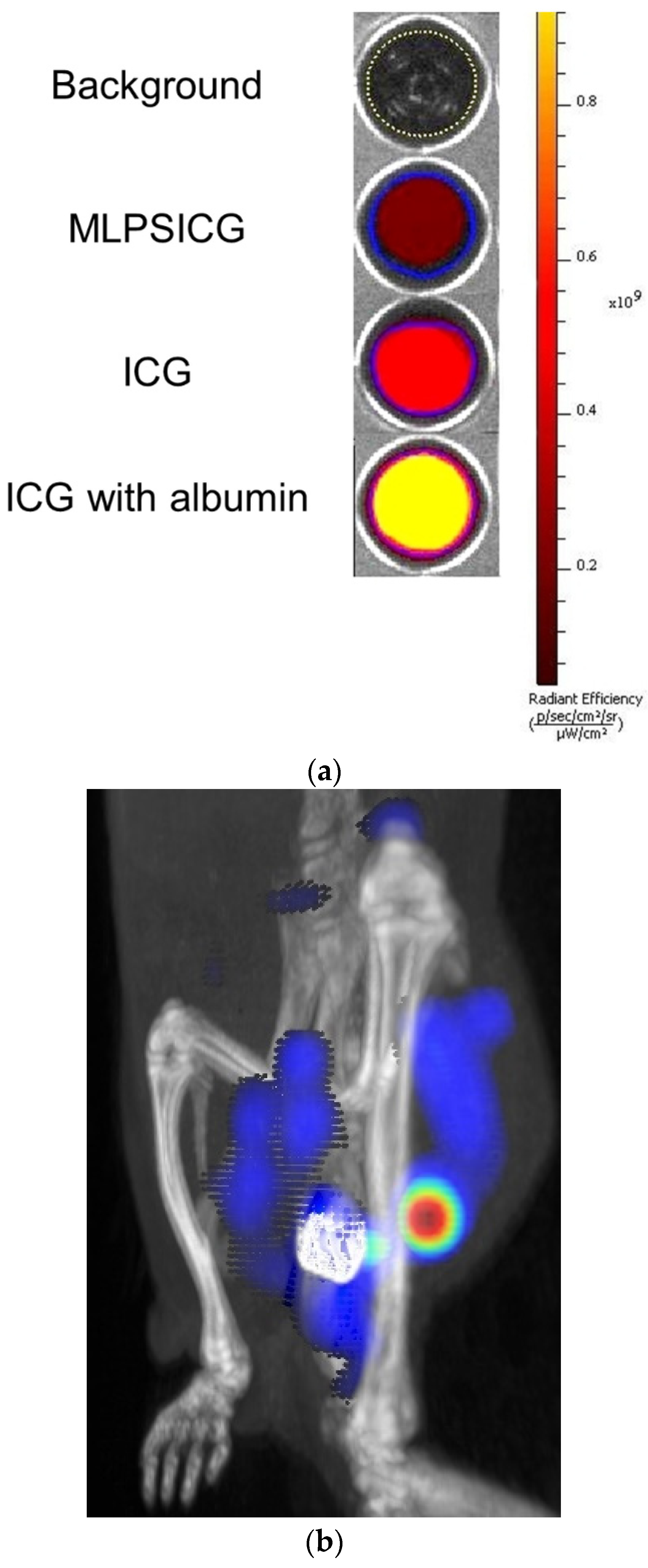 Magnetochemistry 08 00127 g005a