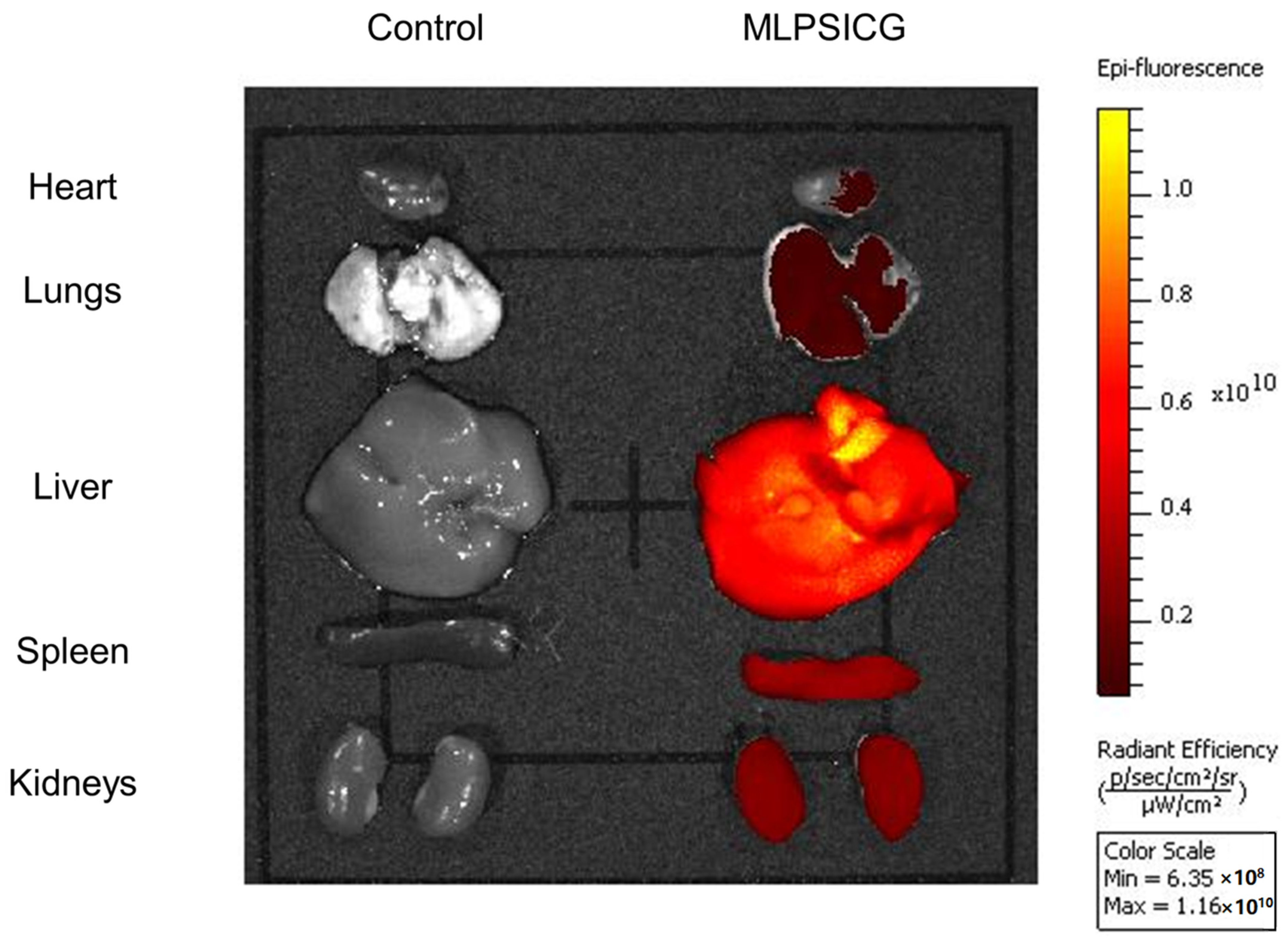 Magnetochemistry 08 00127 g006