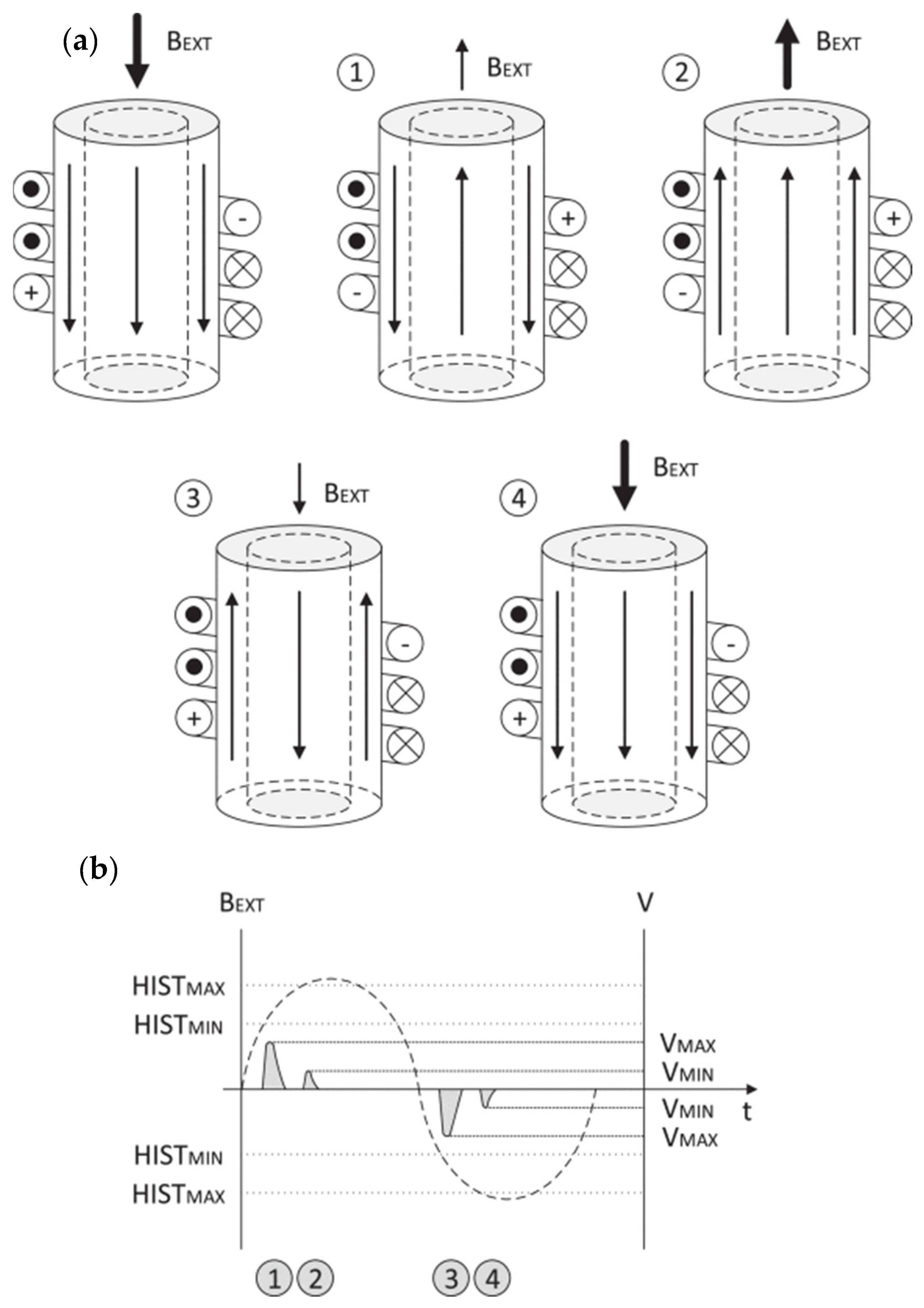 Magnetochemistry 08 00128 g001