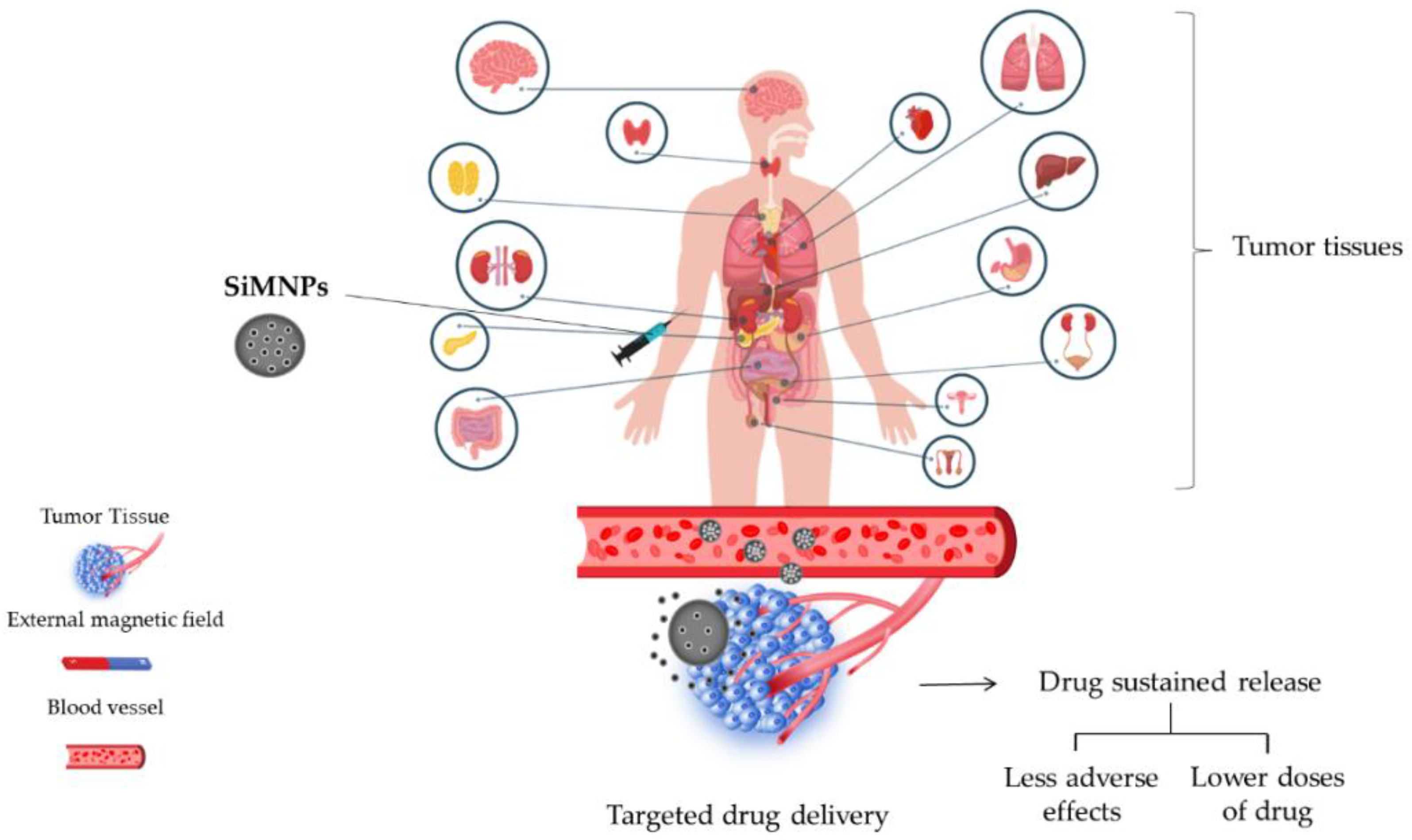 Magnetochemistry 08 00131 g003