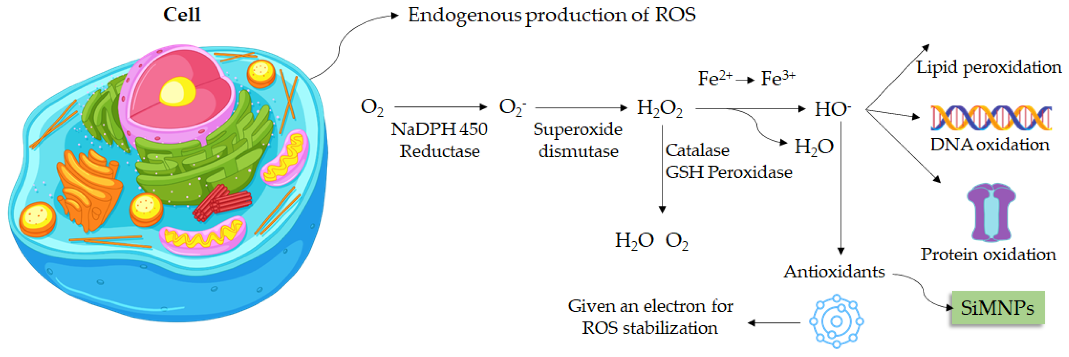 Magnetochemistry 08 00131 g004