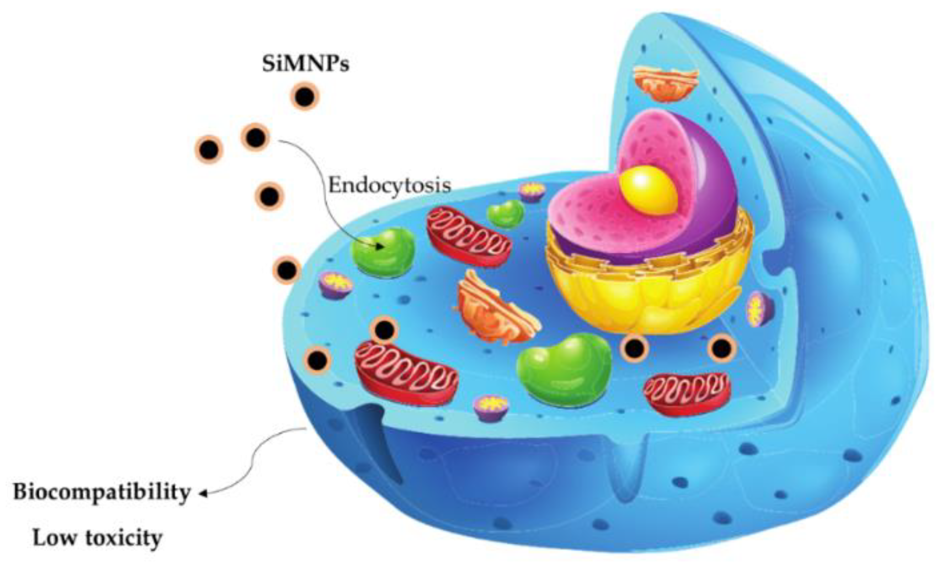 Magnetochemistry 08 00131 g005