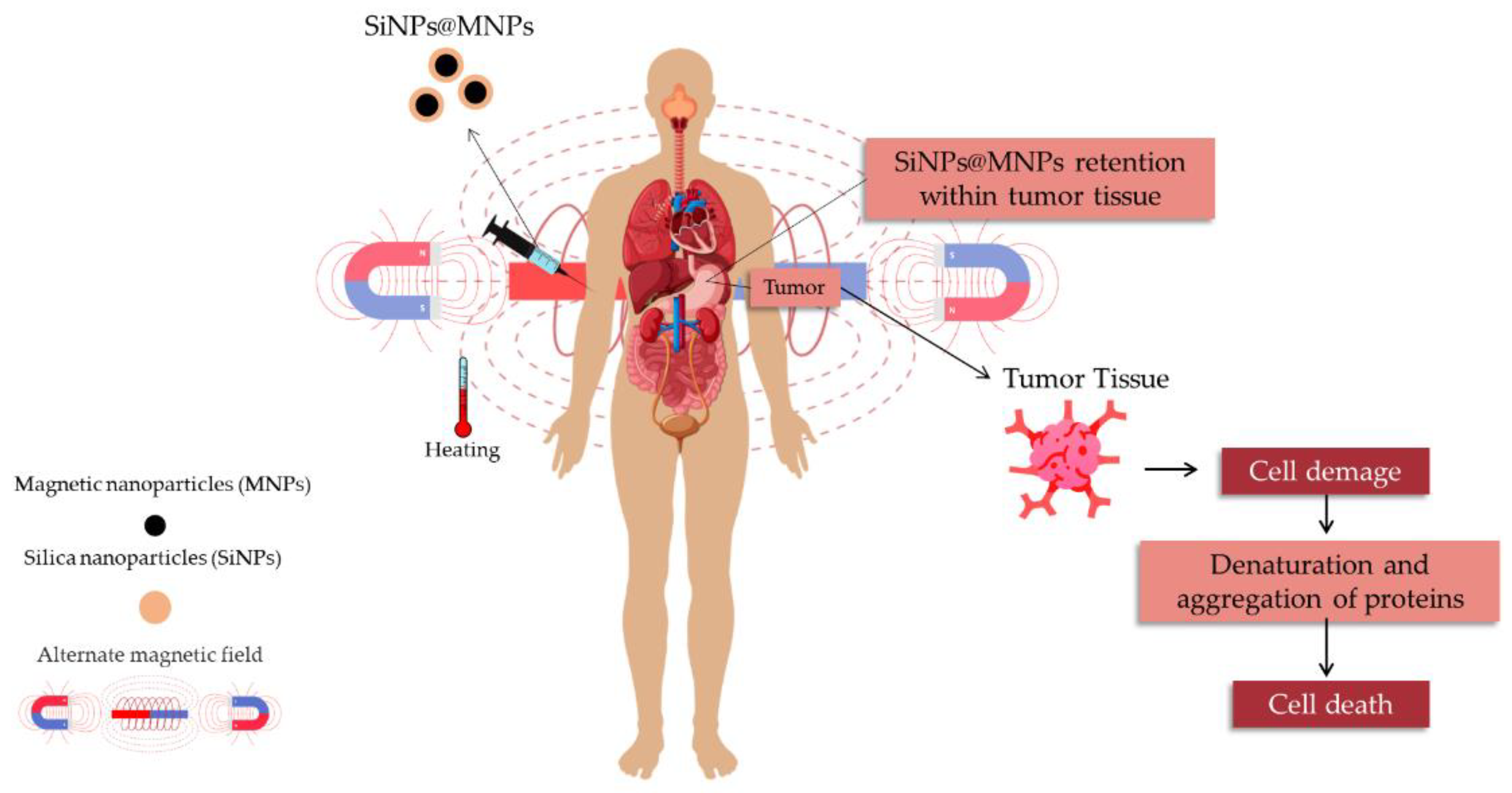 Magnetochemistry 08 00131 g007