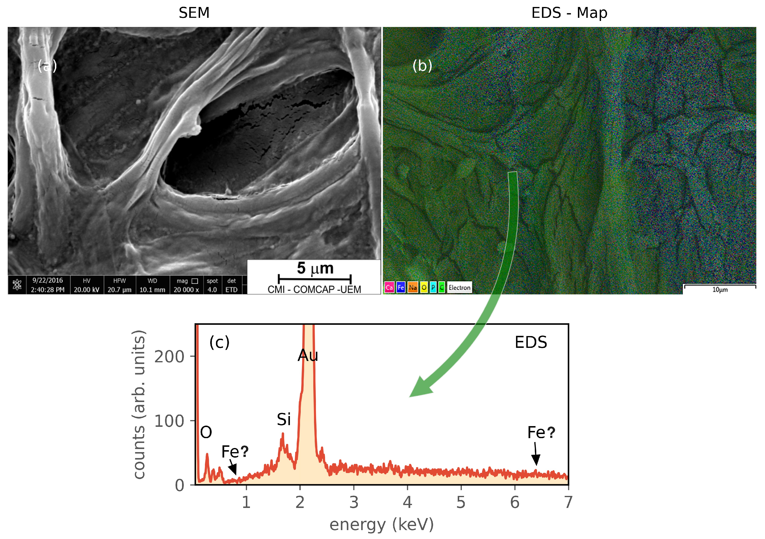 Magnetochemistry 08 00139 g006