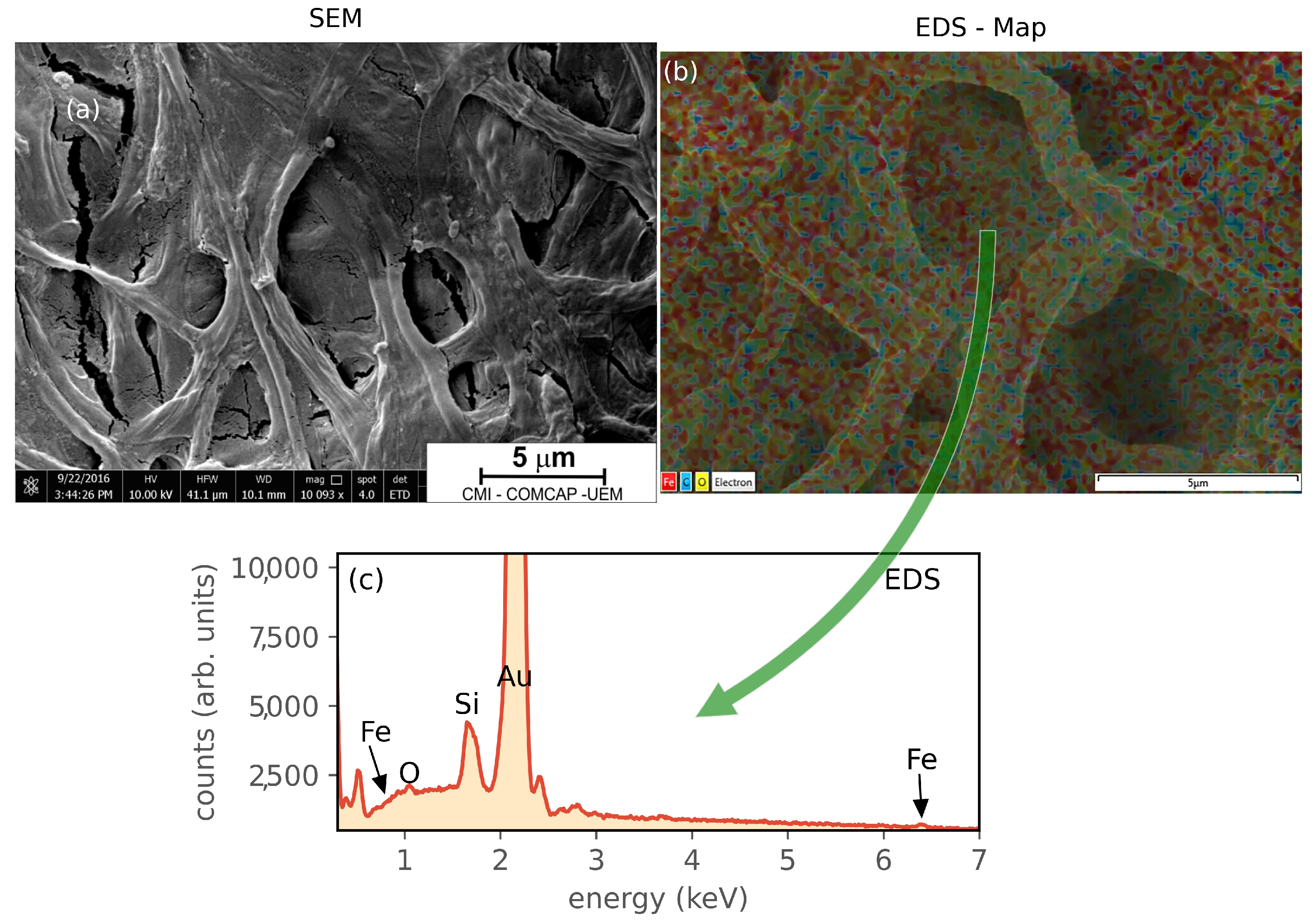 Magnetochemistry 08 00139 g007