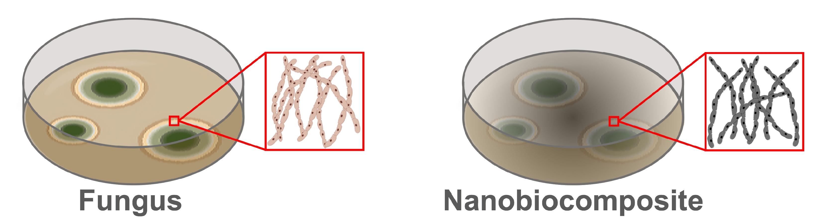 Magnetochemistry 08 00139 g008