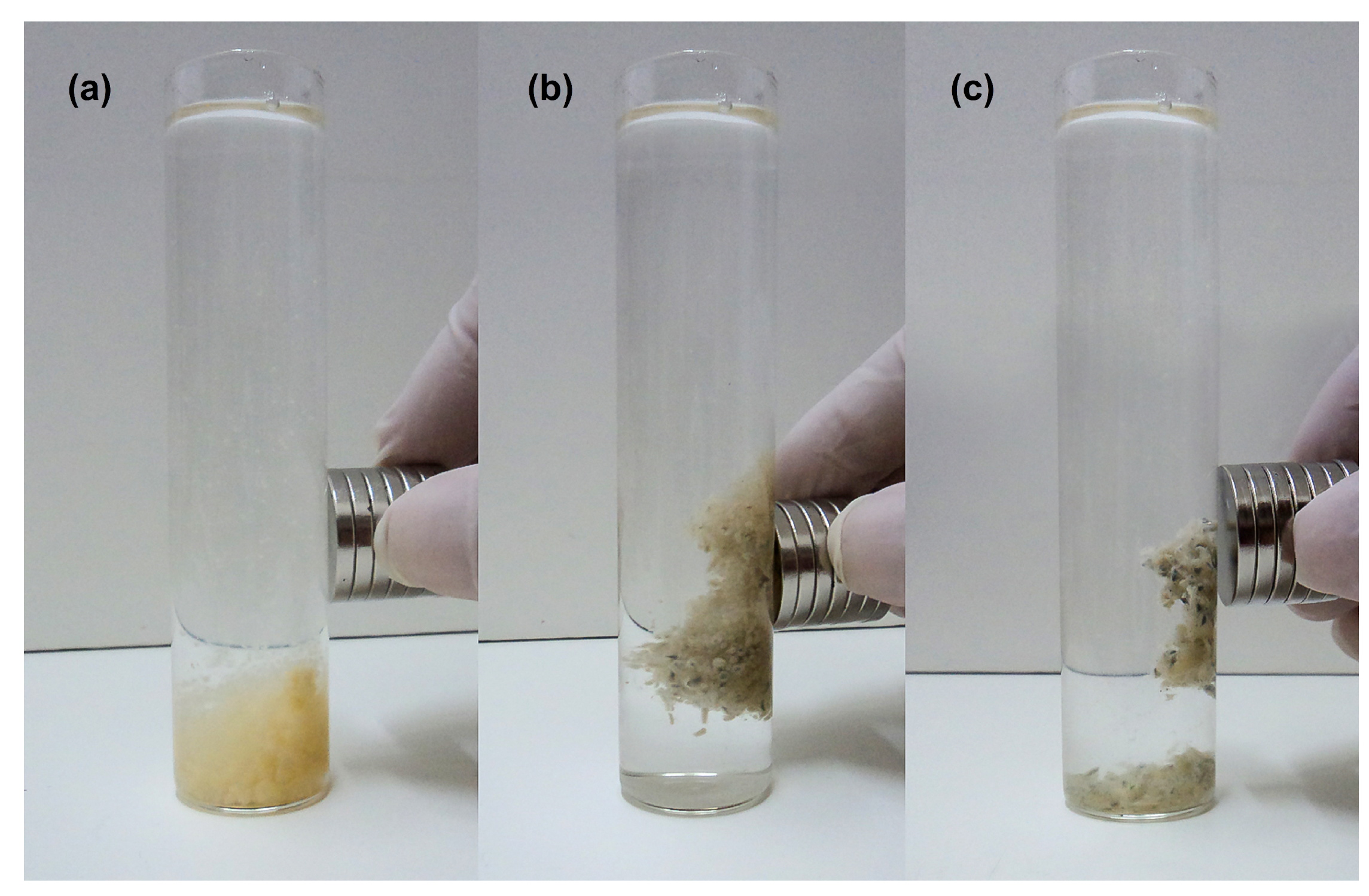 Magnetochemistry 08 00139 g010