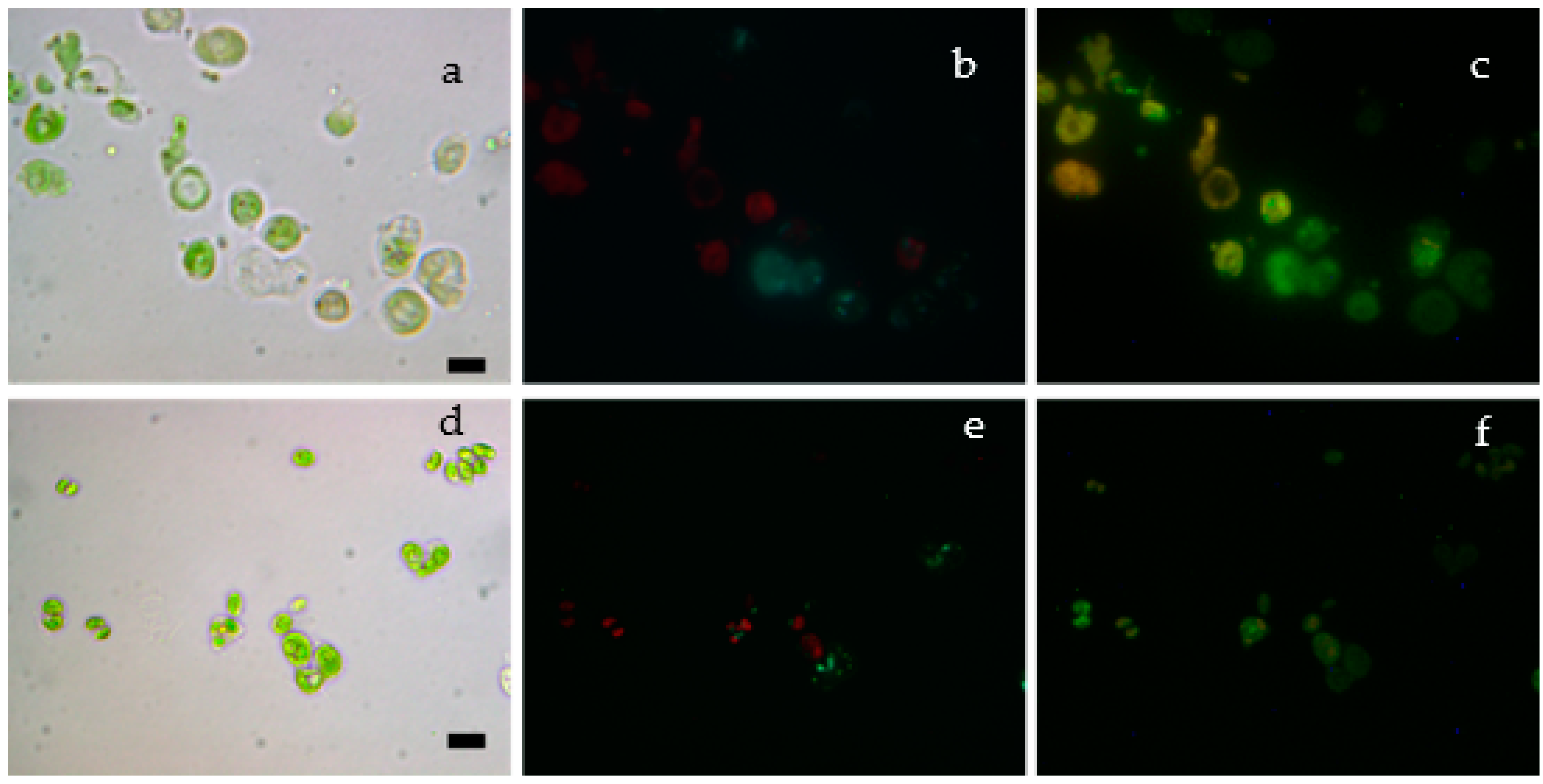 Magnetochemistry 08 00147 g007 Magnetochemistry 08 00147 g007