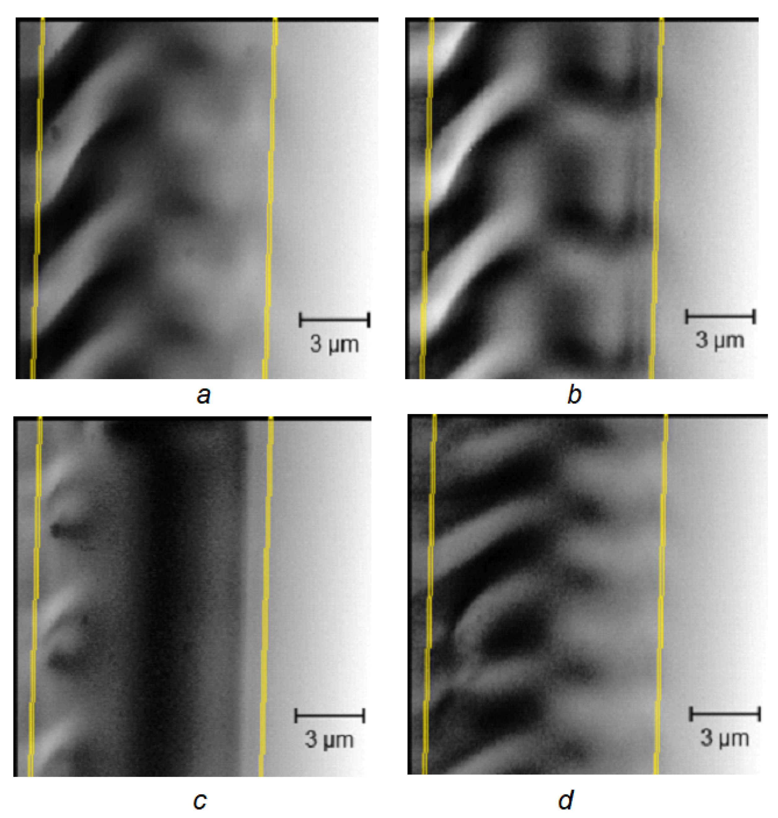 Magnetochemistry 08 00180 g004