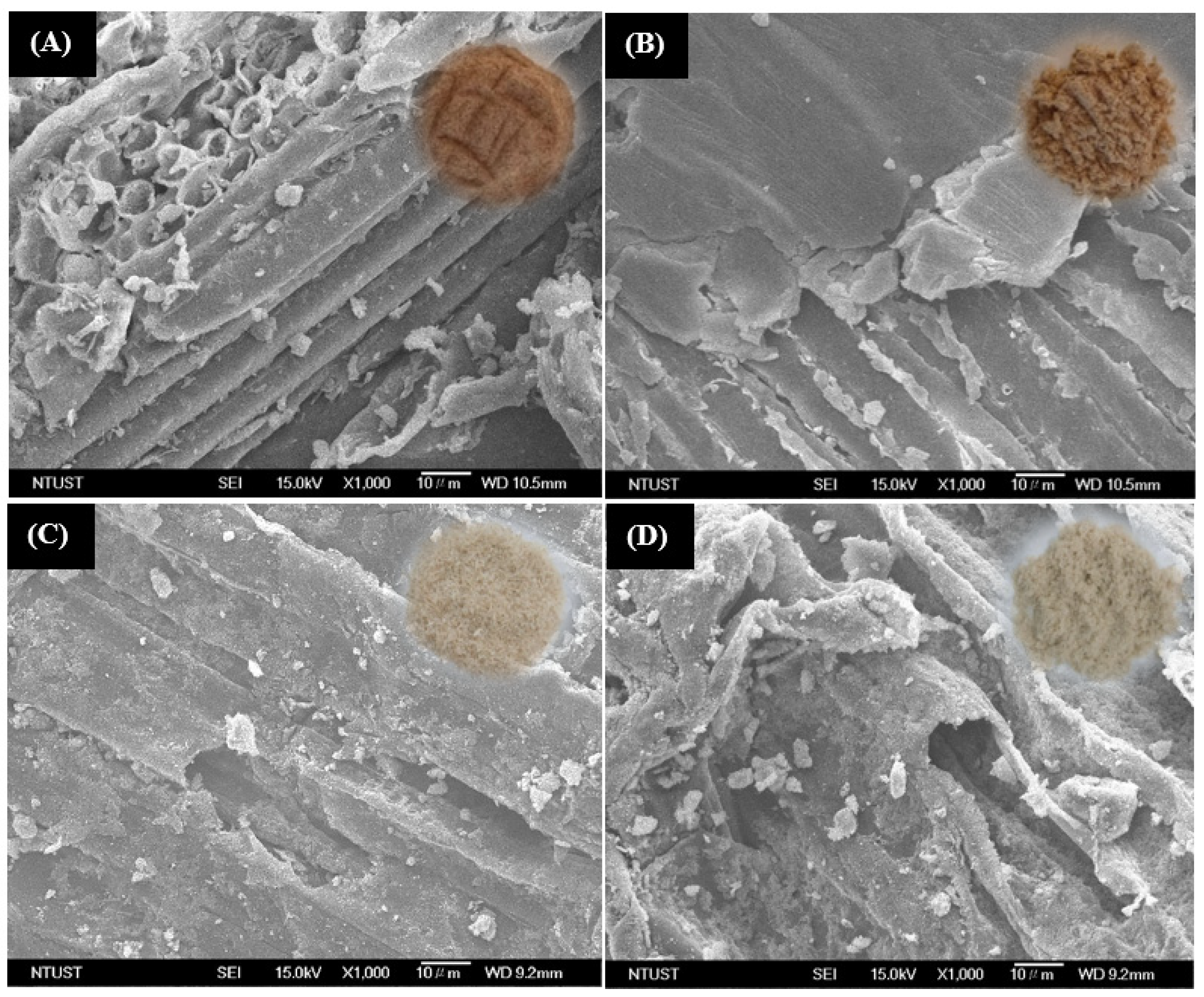 Magnetochemistry 08 00183 g001