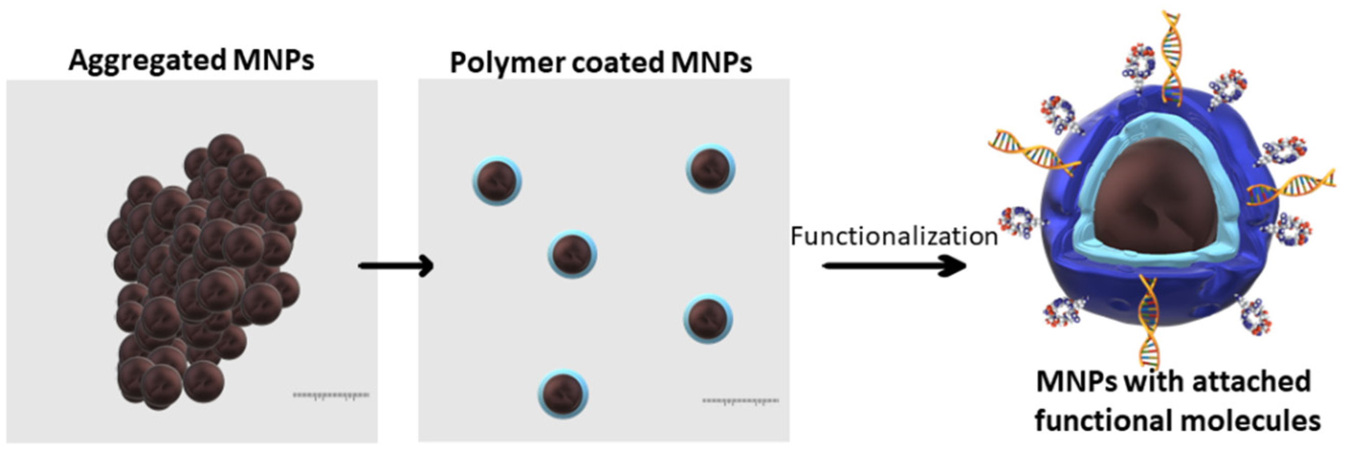 Magnetochemistry 09 00012 g003