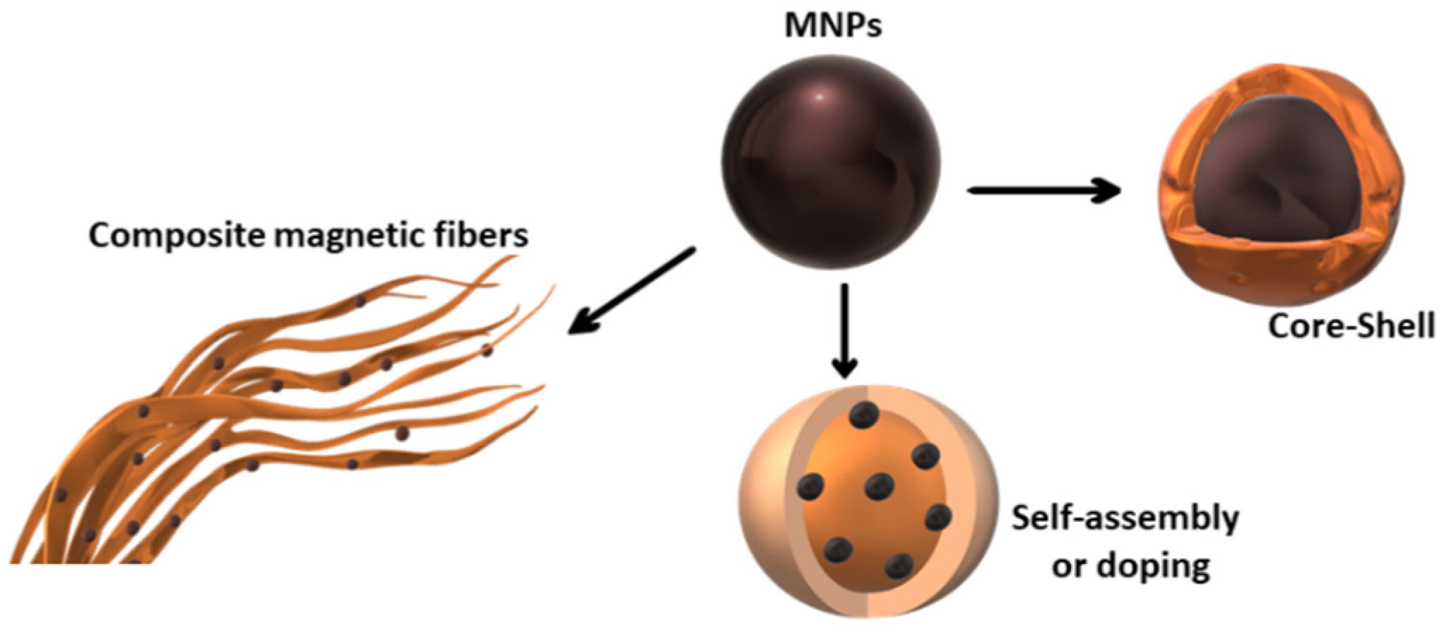 Magnetochemistry 09 00012 g004