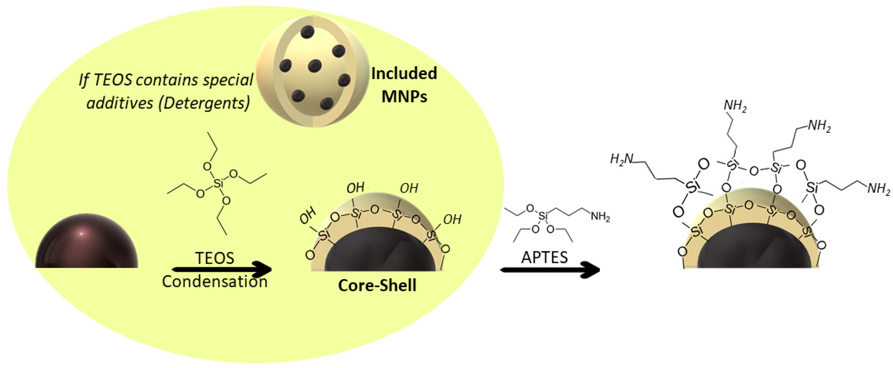 Magnetochemistry 09 00012 g005